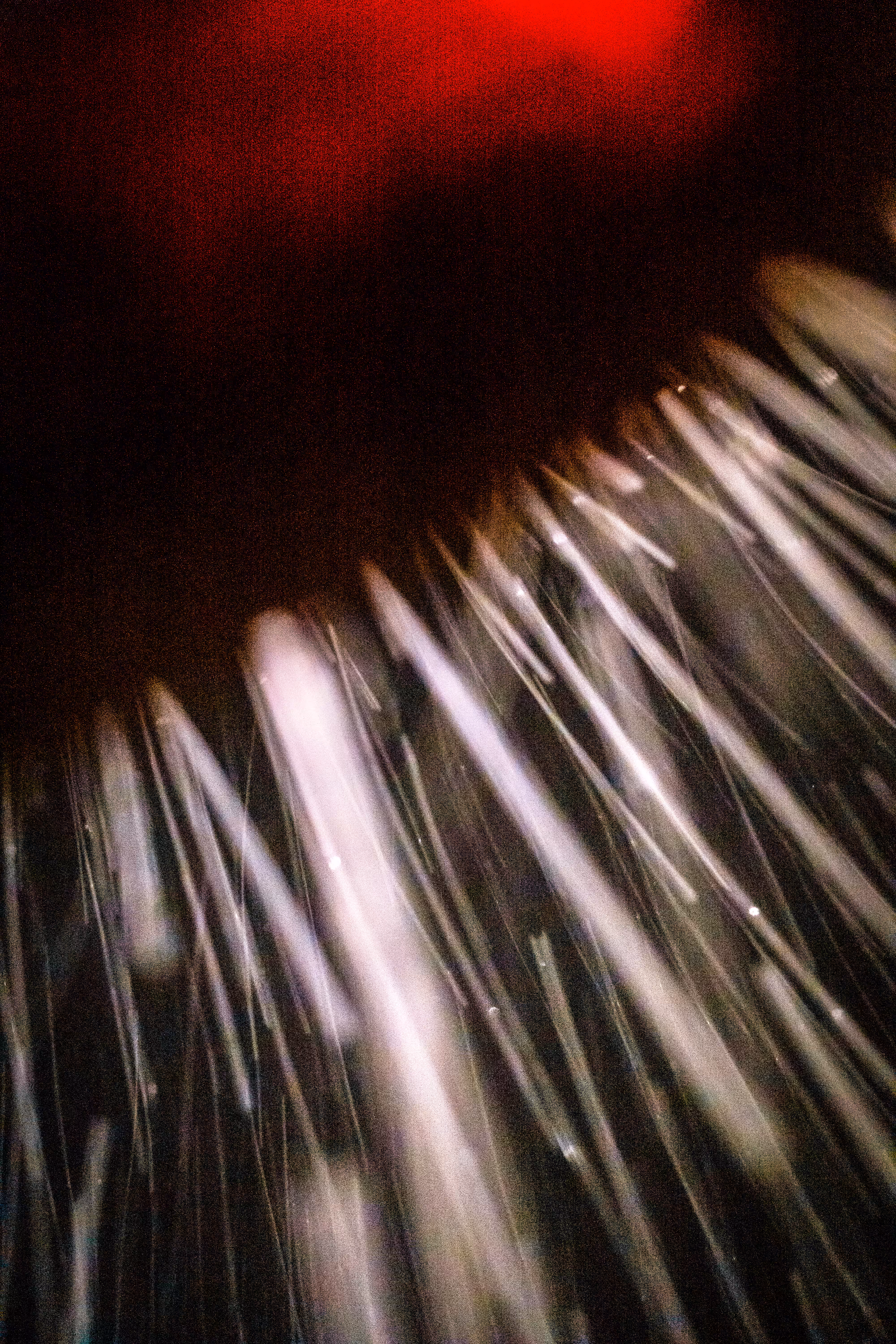 GISELXLIGHTSLURRY: L1210109 : An omen of the skies