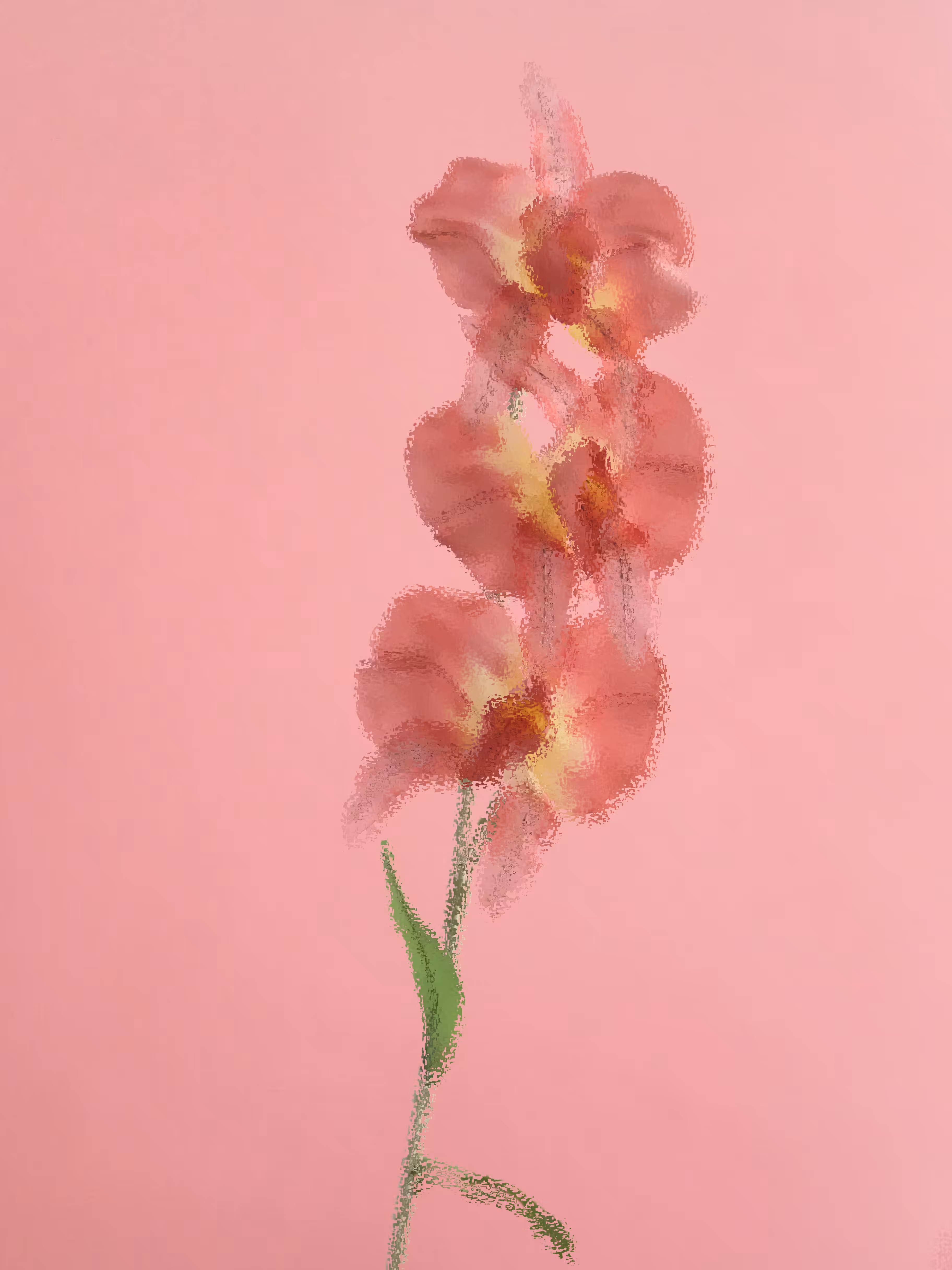 Postcard #76