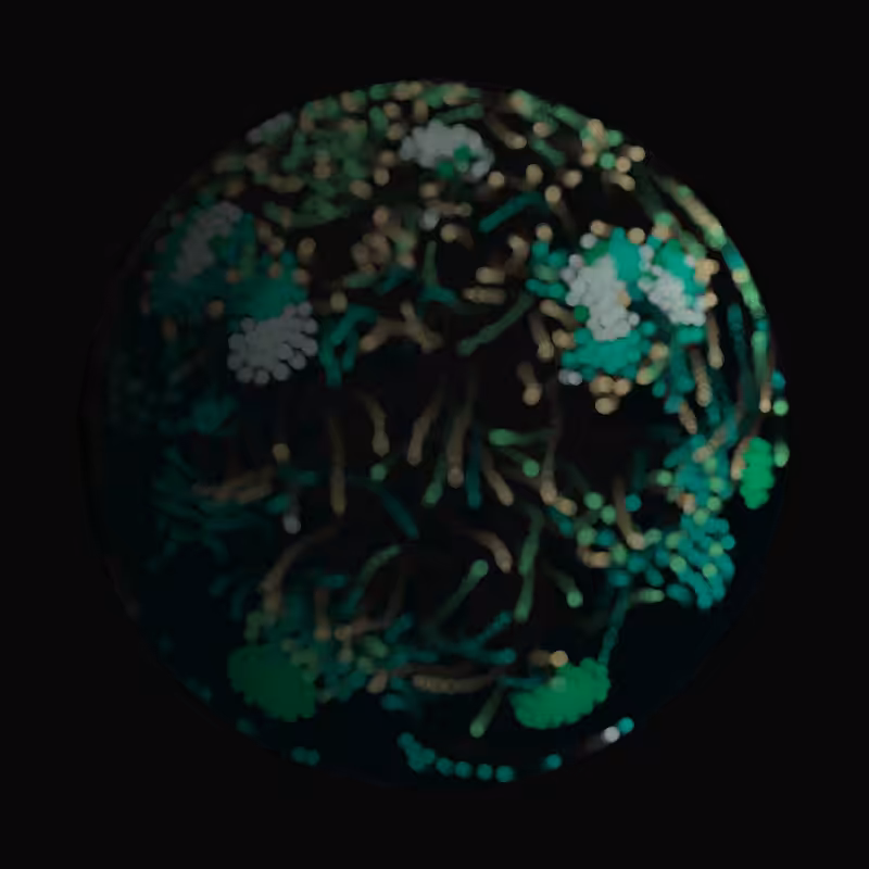 Earth #365
