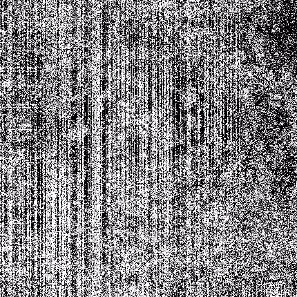 HIDDEN IN NOISE: Noise #755 