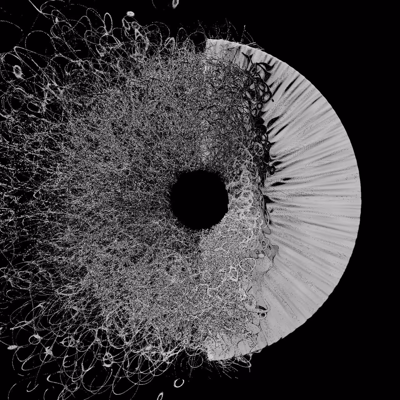 Rodeo posts: EYE