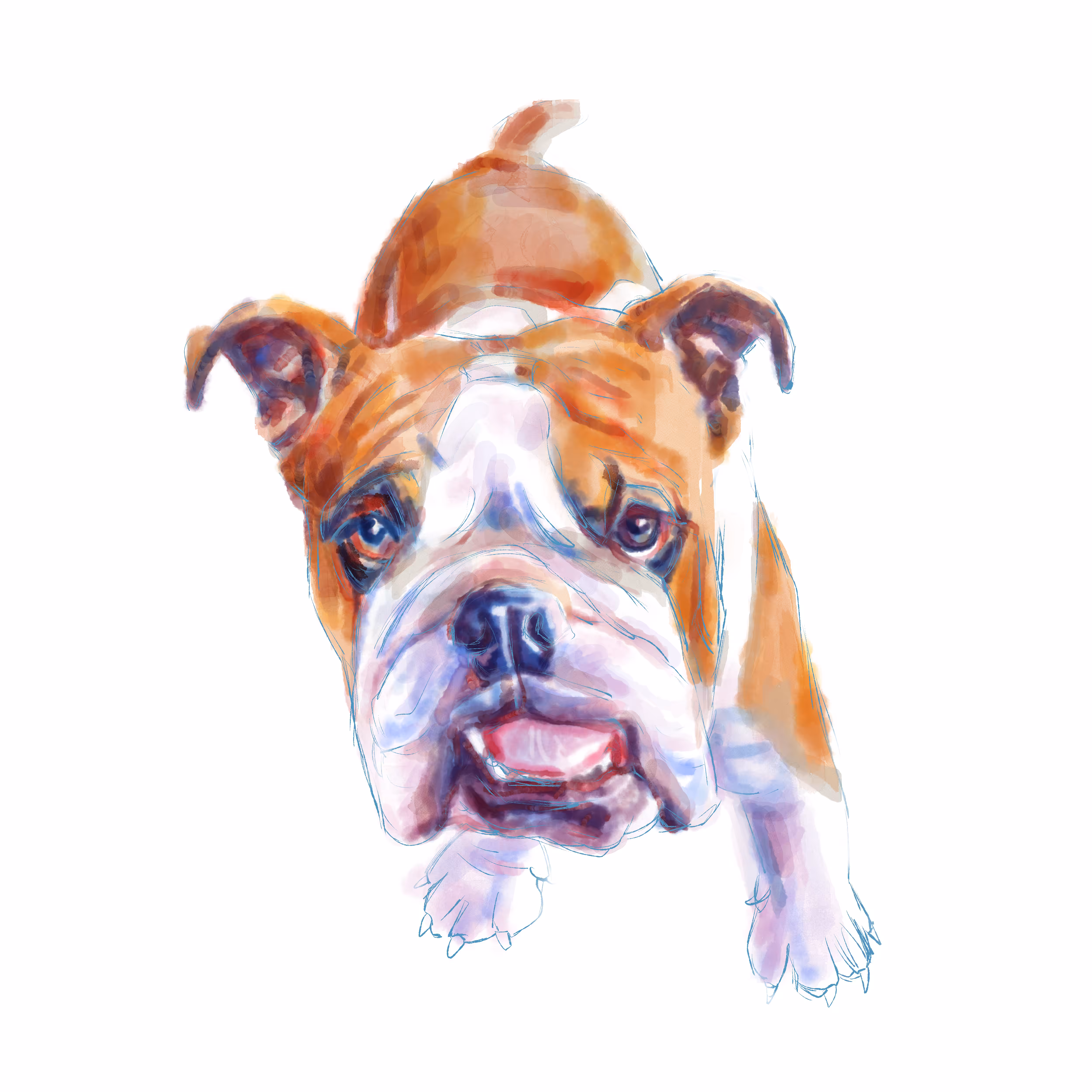 Bulldog