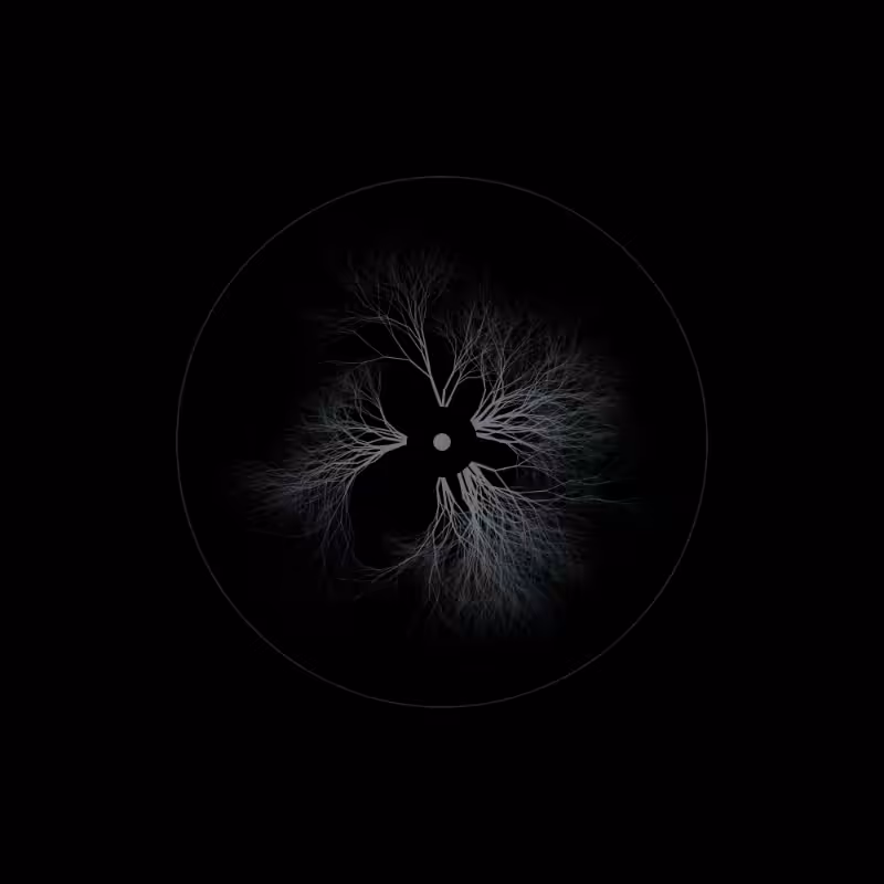 EYE #6