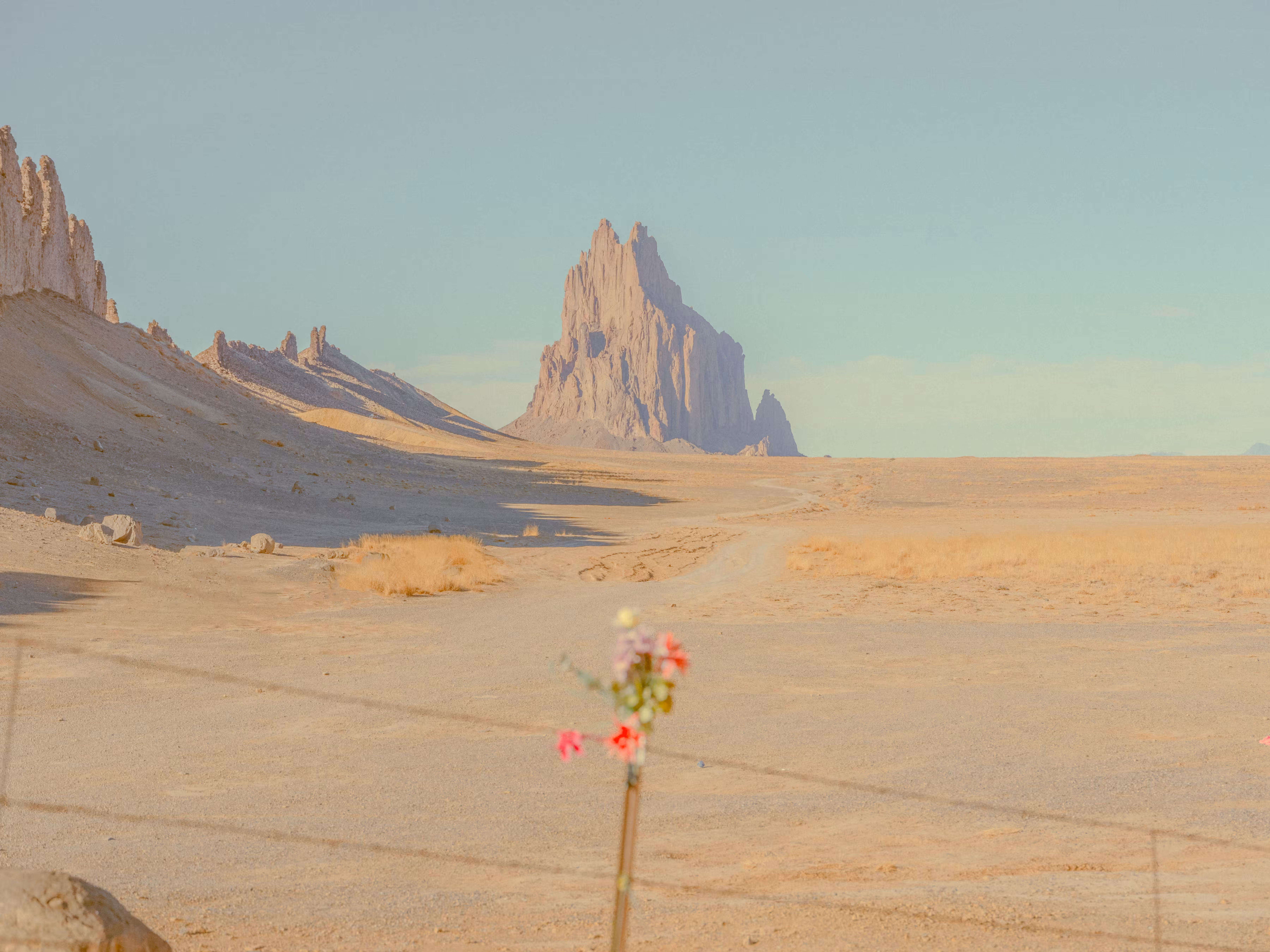 Desert Oddities #19