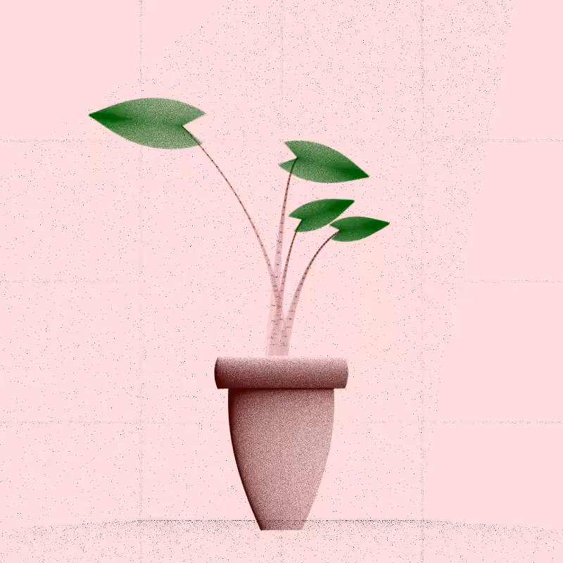🌱 Potted & Printed #197
