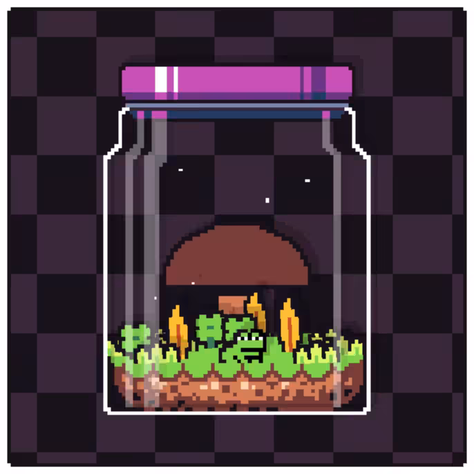 Toad Terrarium #72