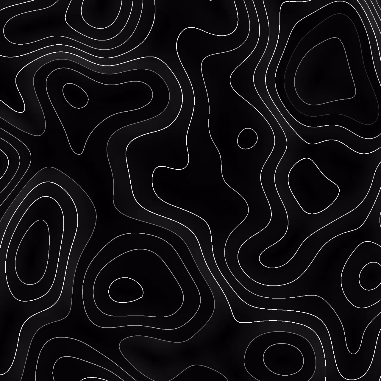 onion-001