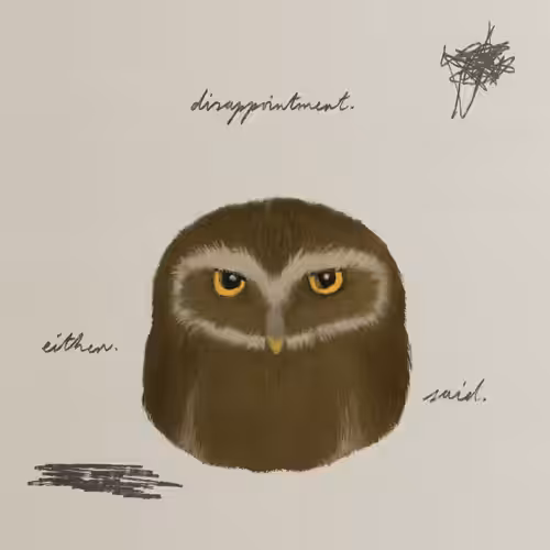 Forest, No: friend #210