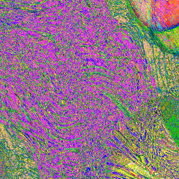 Einstein-Rosen Memories #31