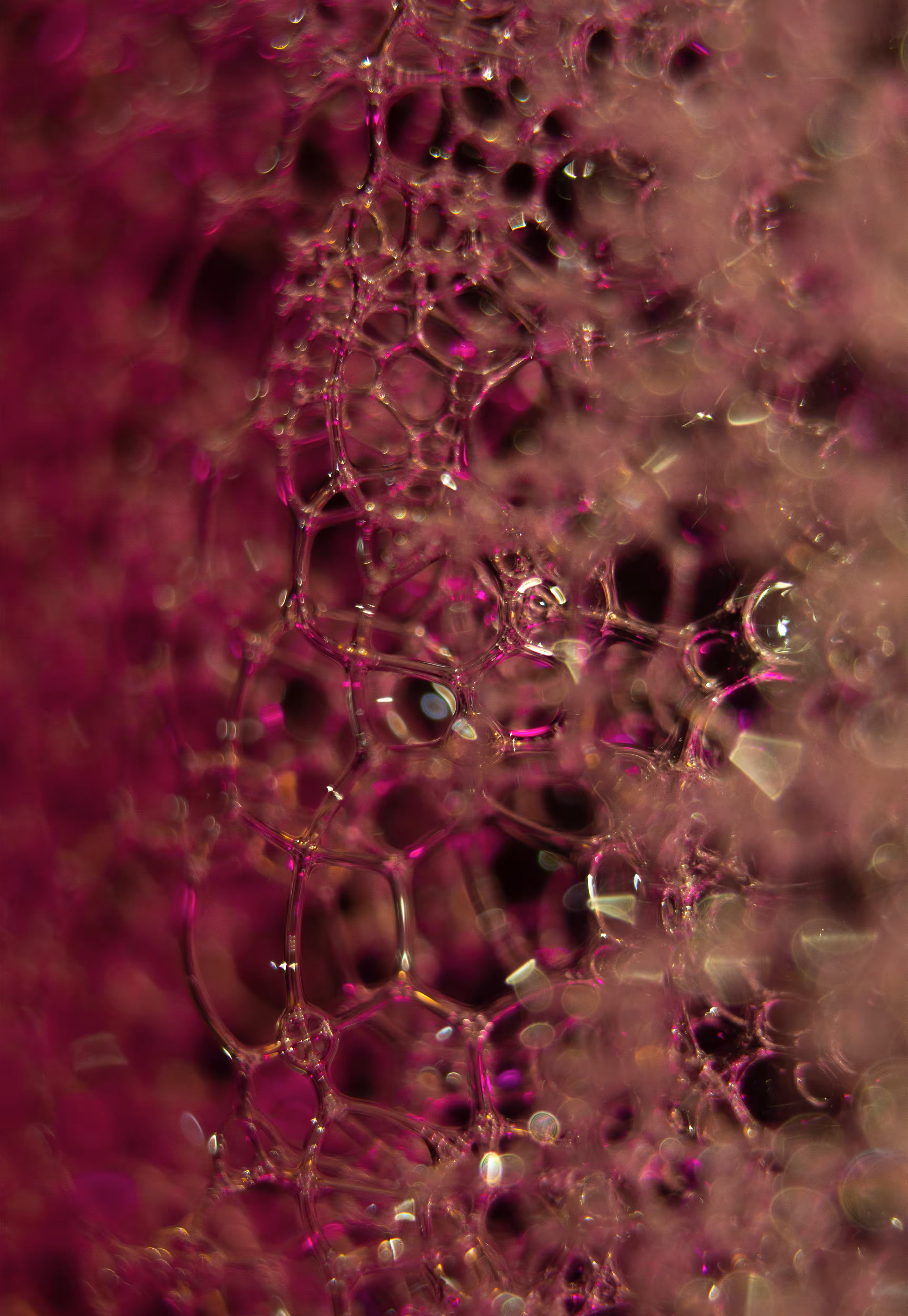 Abstract World of Soap Bubbles: #116 Bubbles