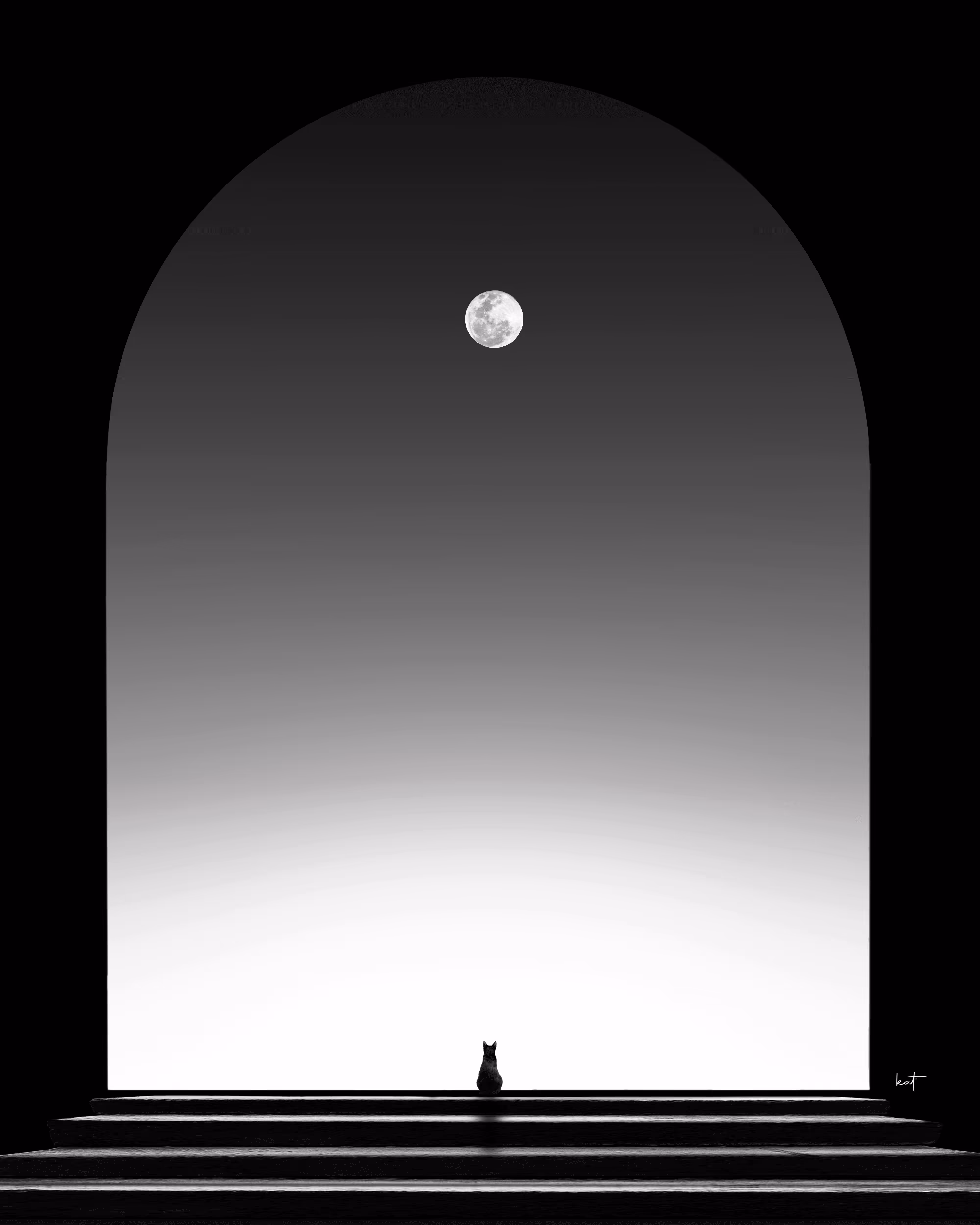 Moon Watching