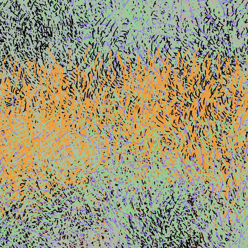 a bird worked on my painting #24