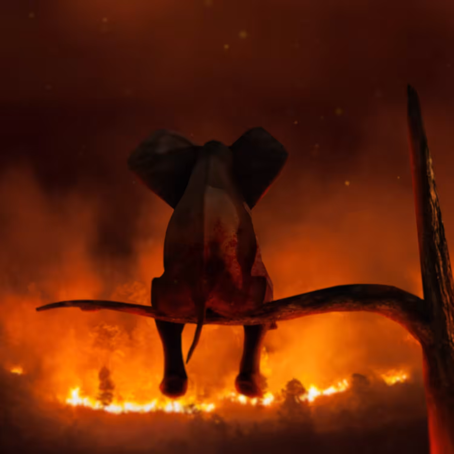 Escaping the Flames of 2020