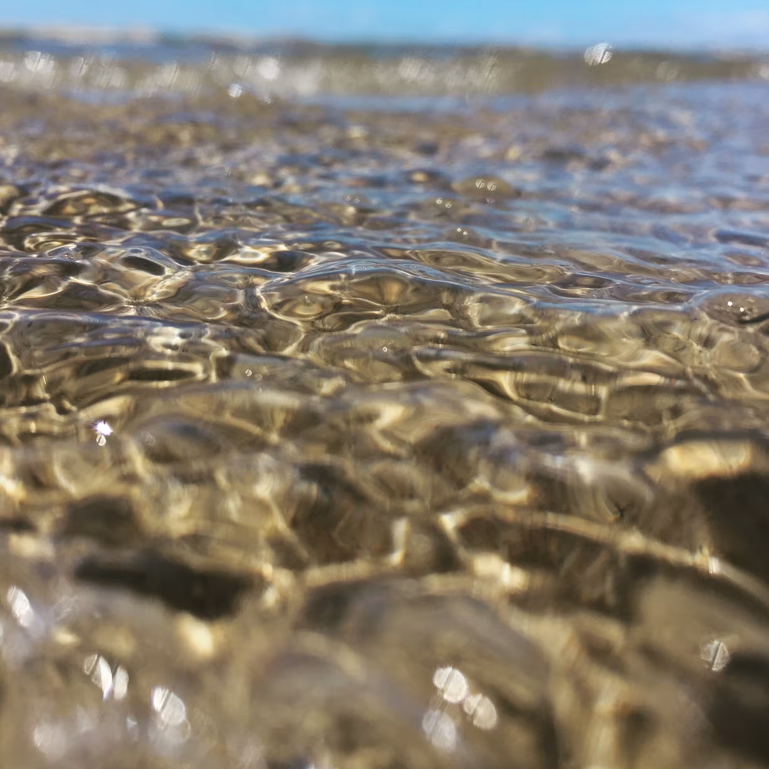H20 Texture