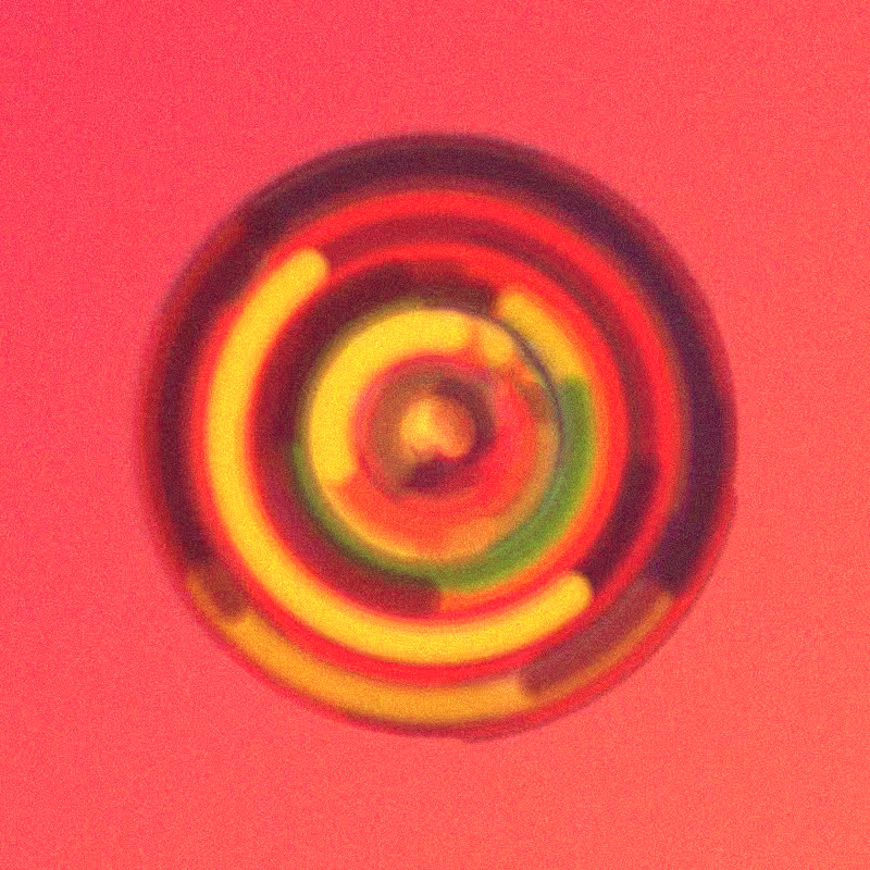 Wisp #995