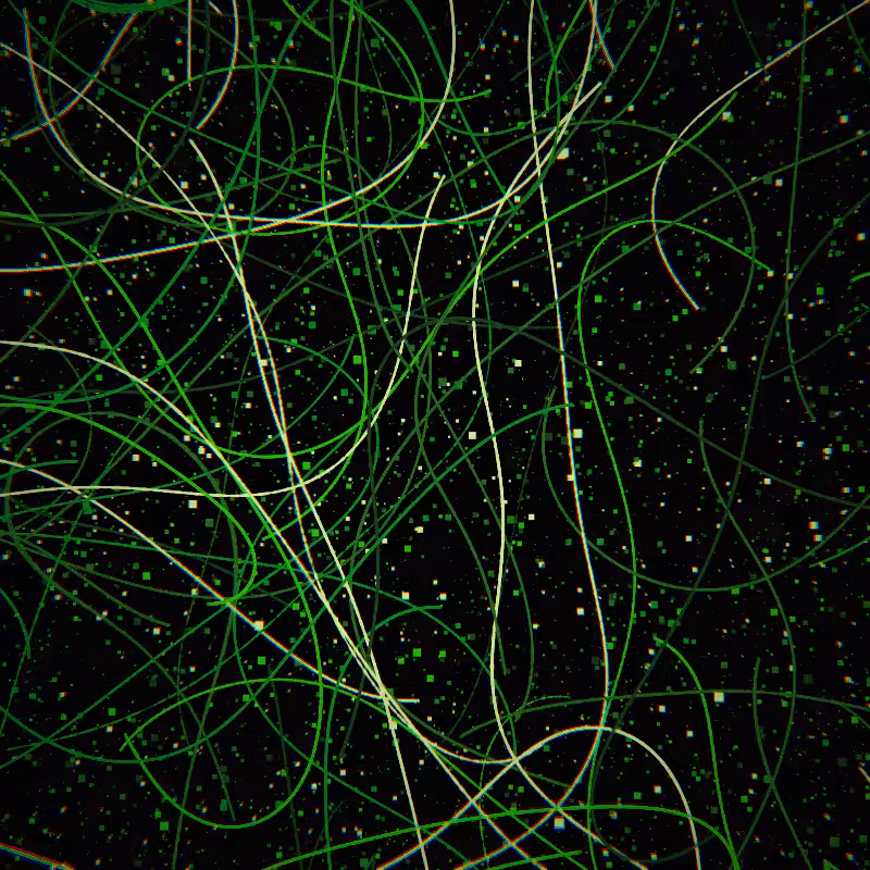 Neon Curves #36
