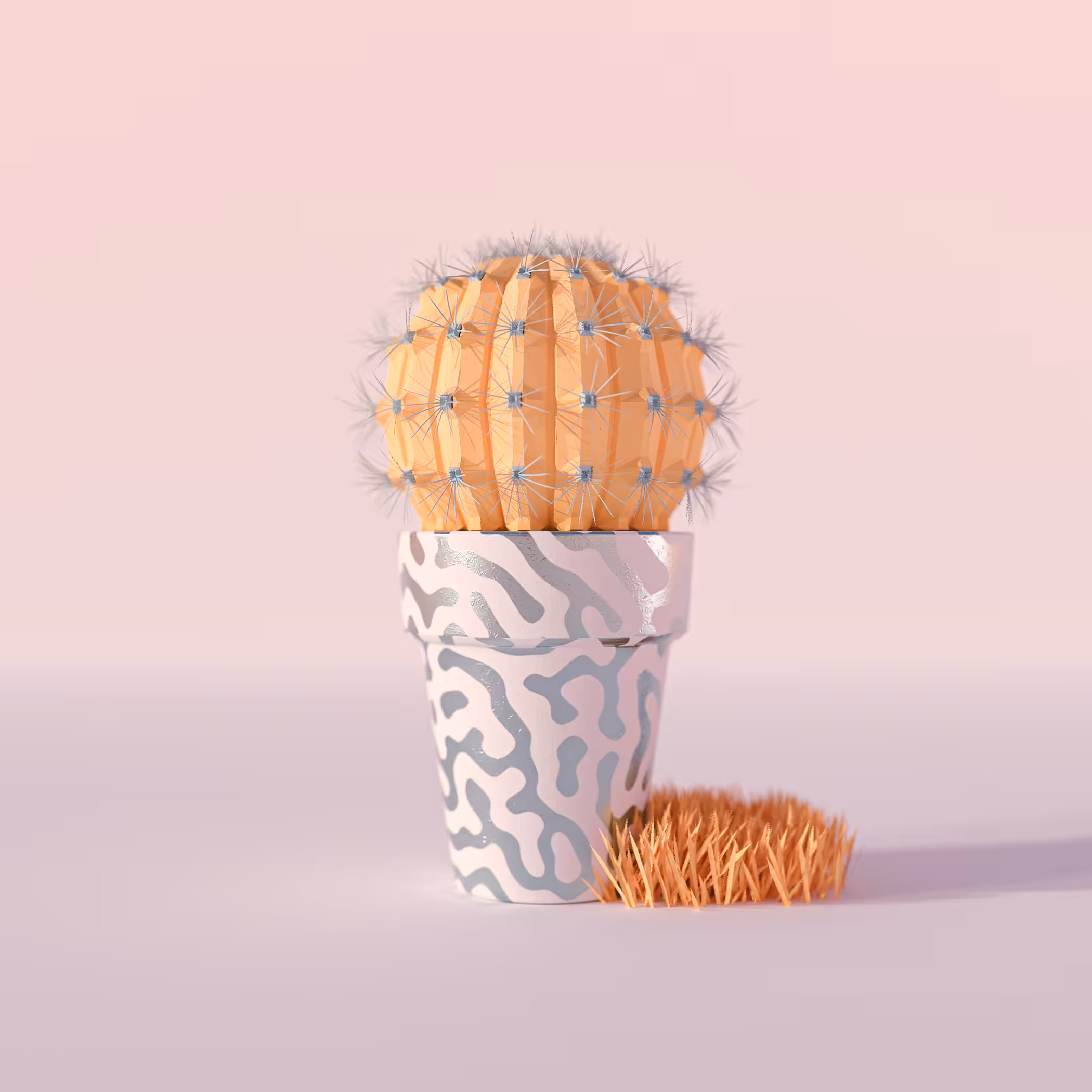 Savannah Cactus