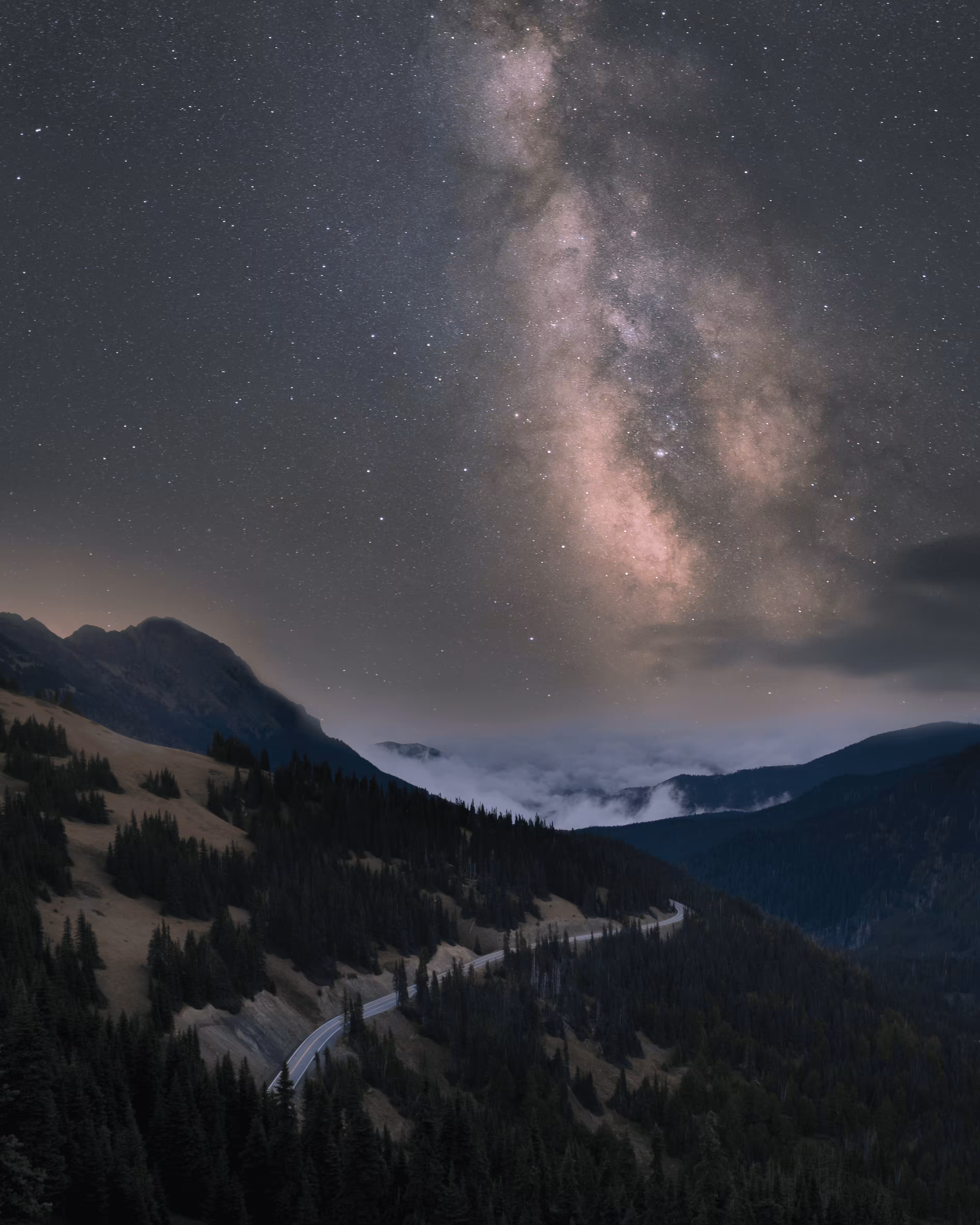 Foggy Nights