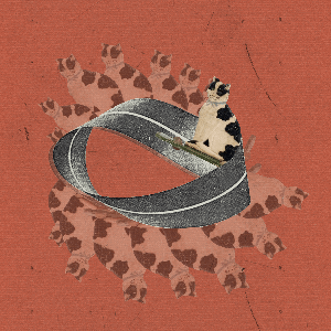 Nine Lives in a Loop