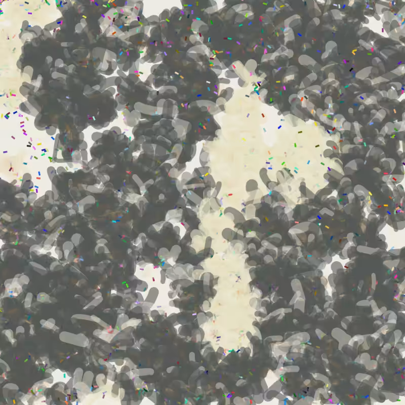 Petri 1500 v2 QHD  #862