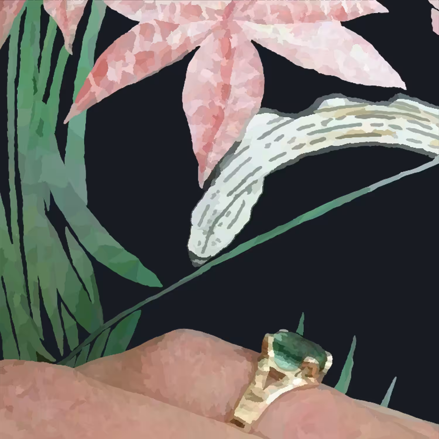 "PARAÍSO"
