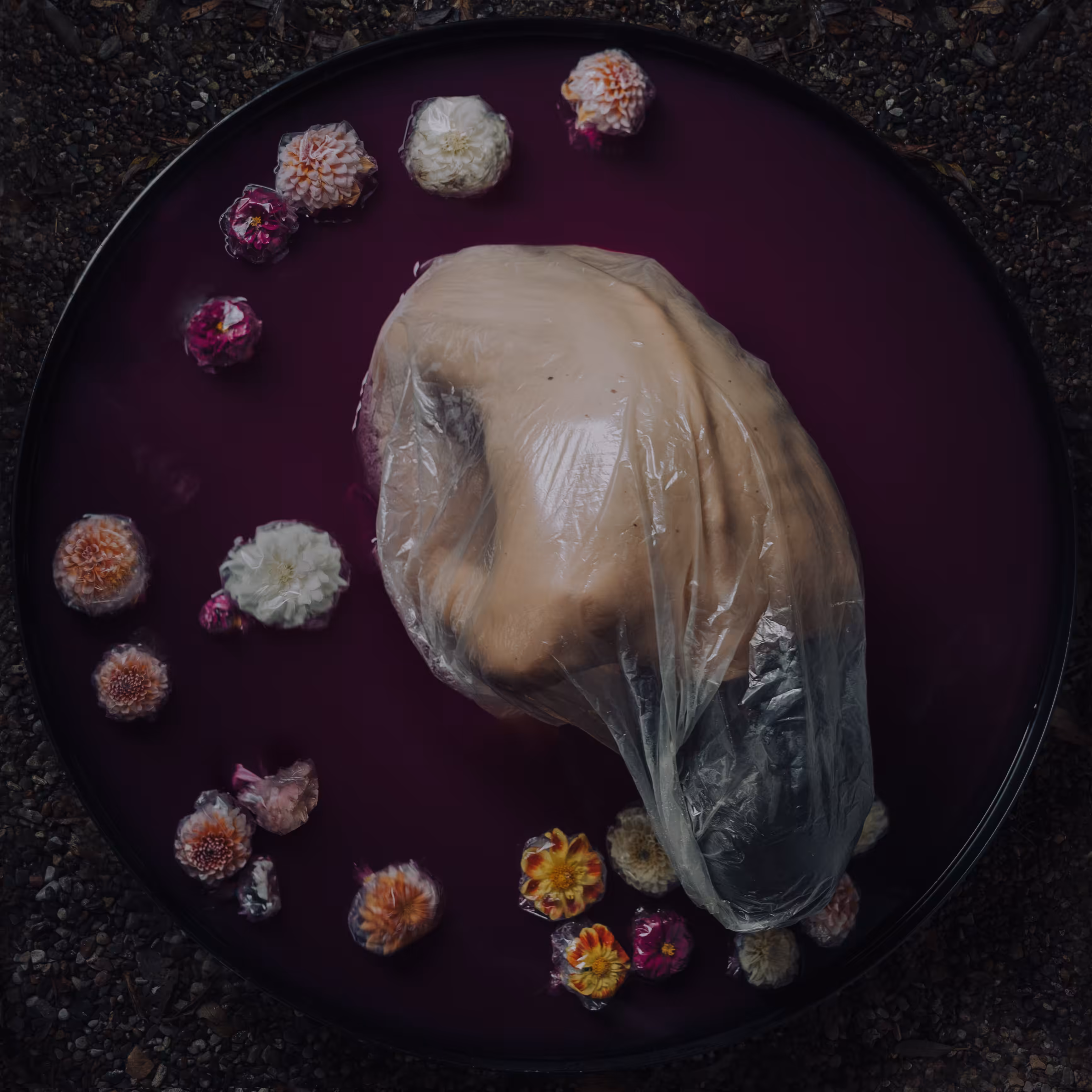 Preserved Beauty III