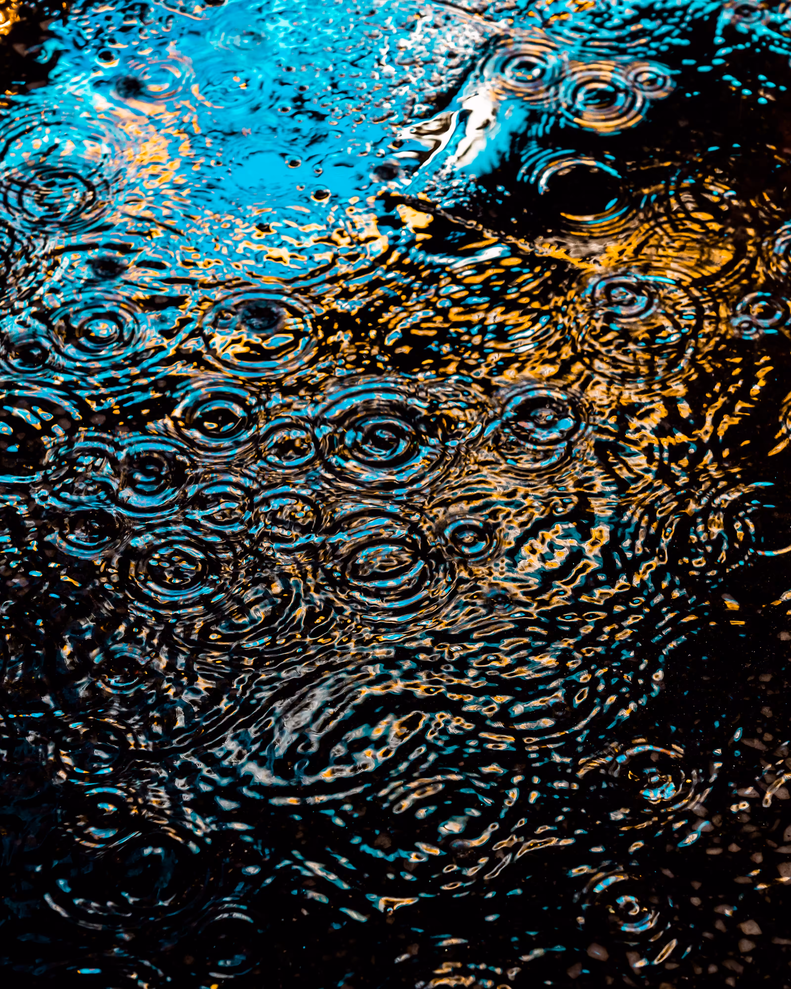 DRIP DROP: DRIP #729