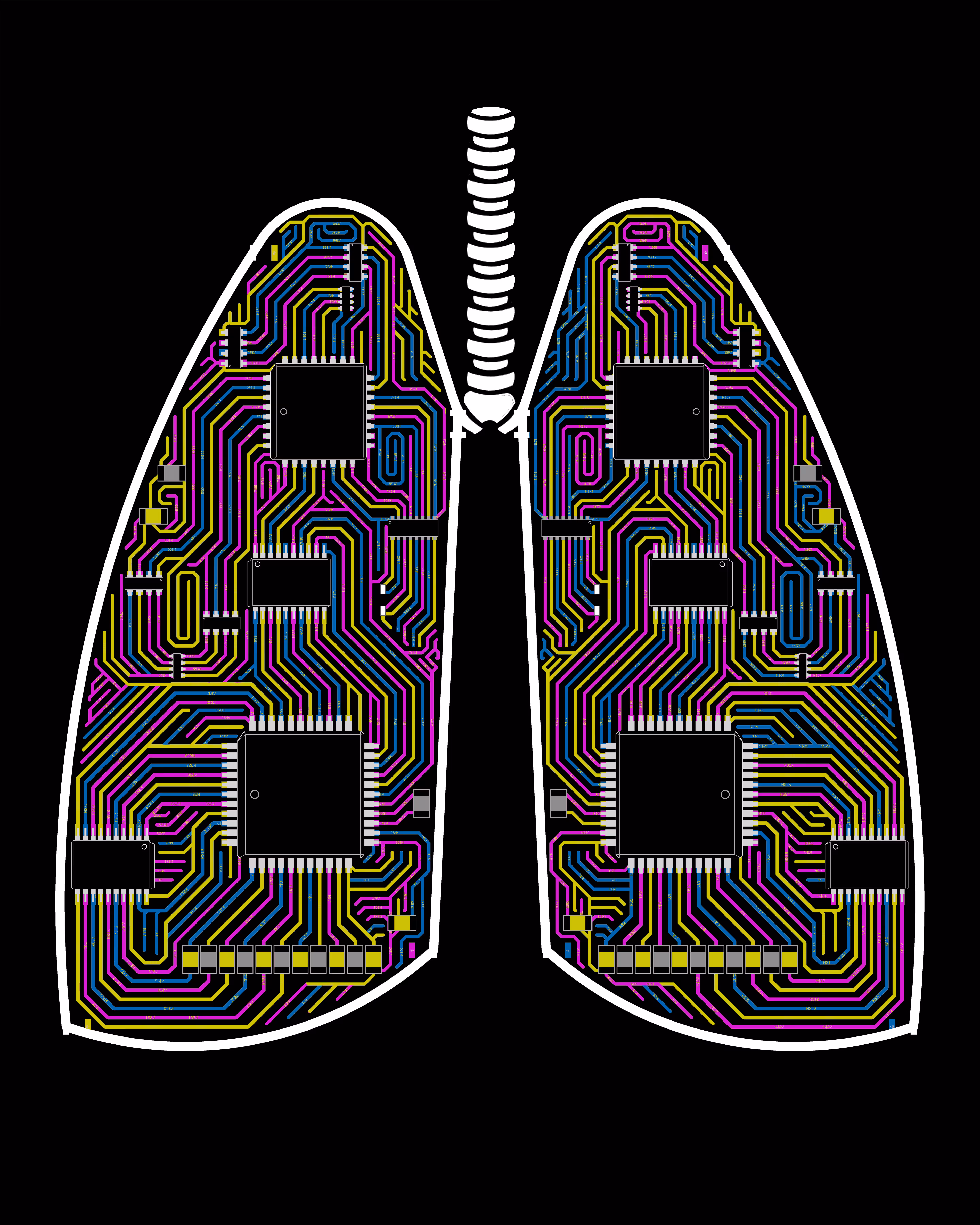 THE LUNGS