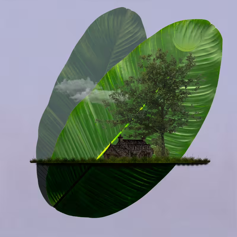 Live in Nature #46
