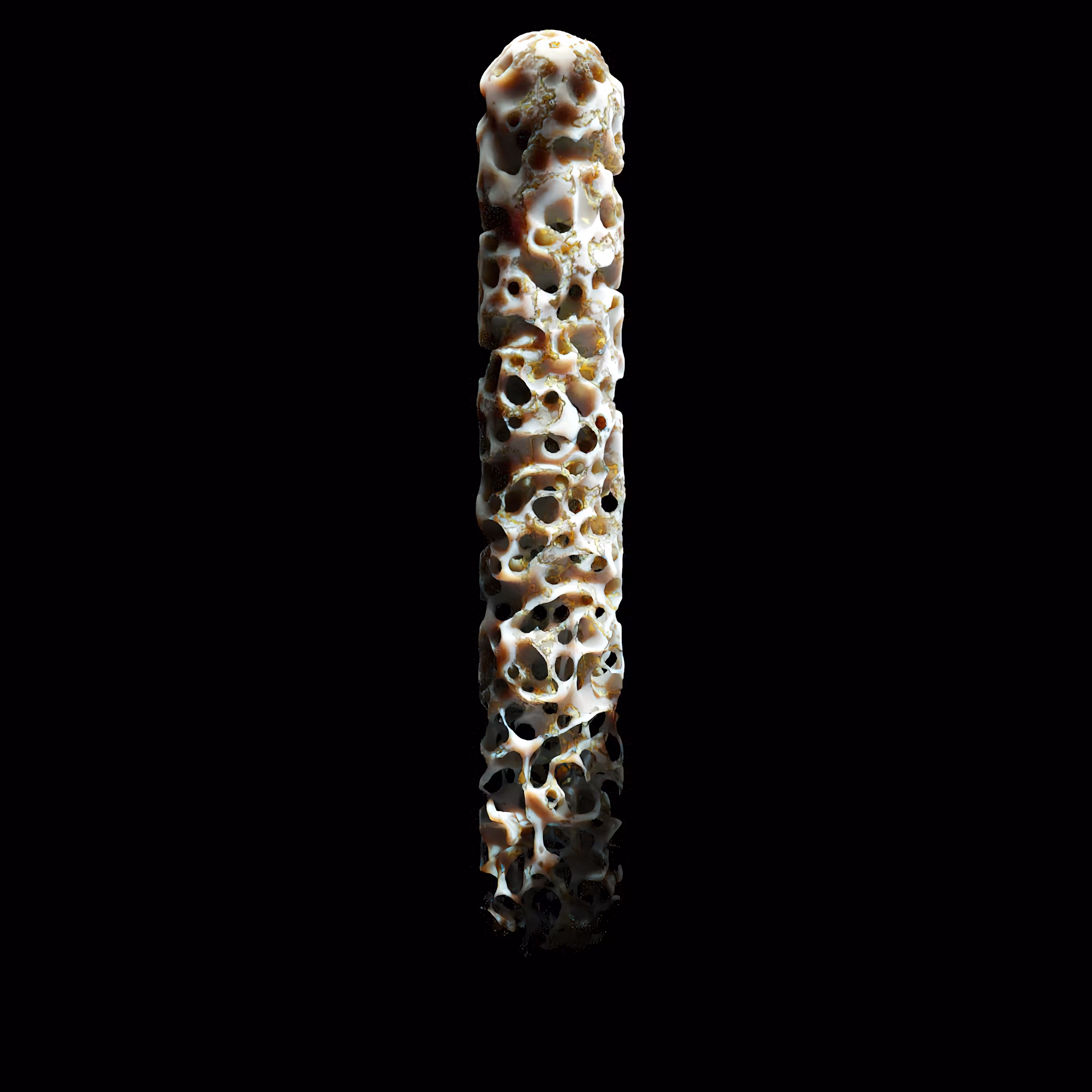 Flesh Totem _02