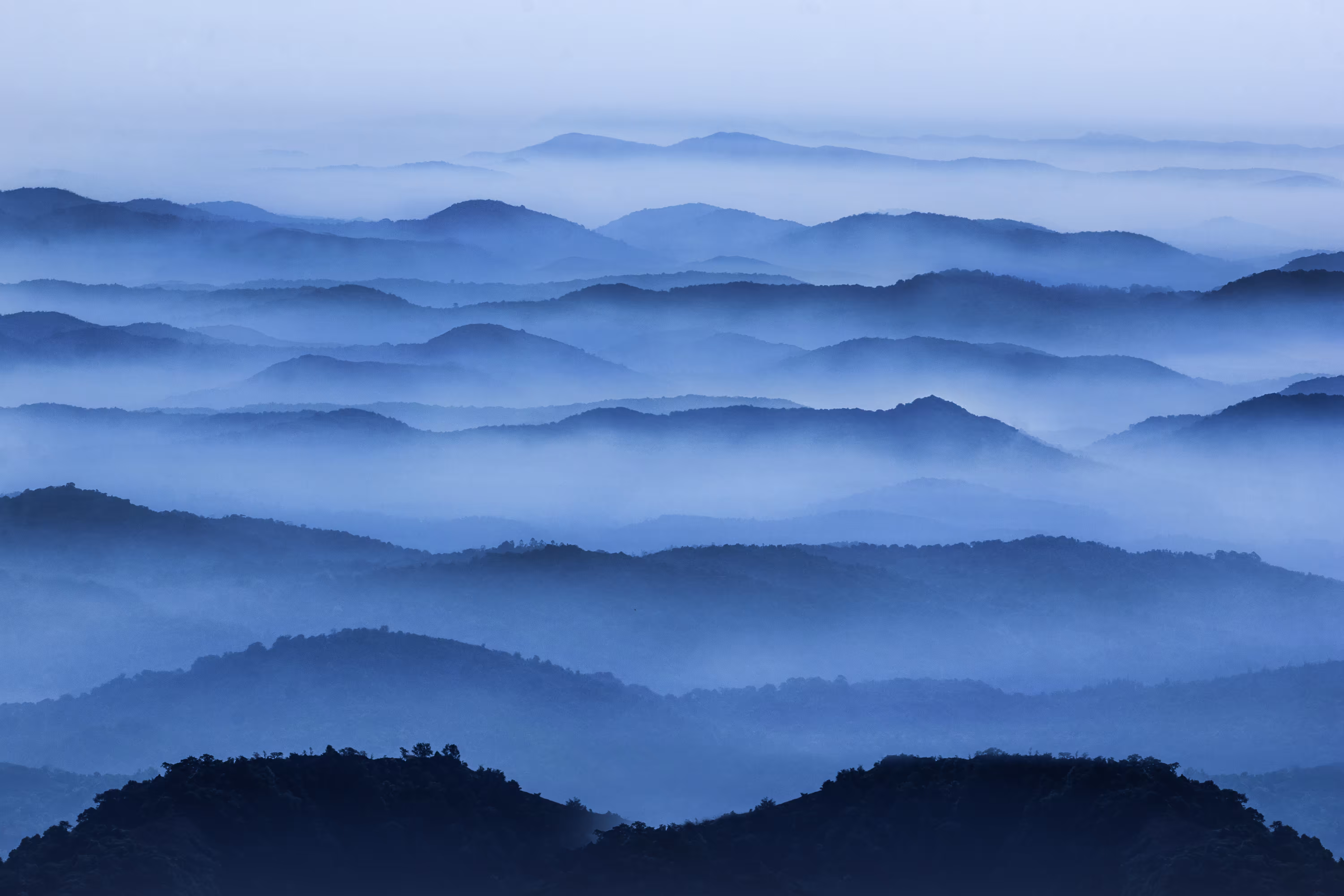 The Blue Horizons