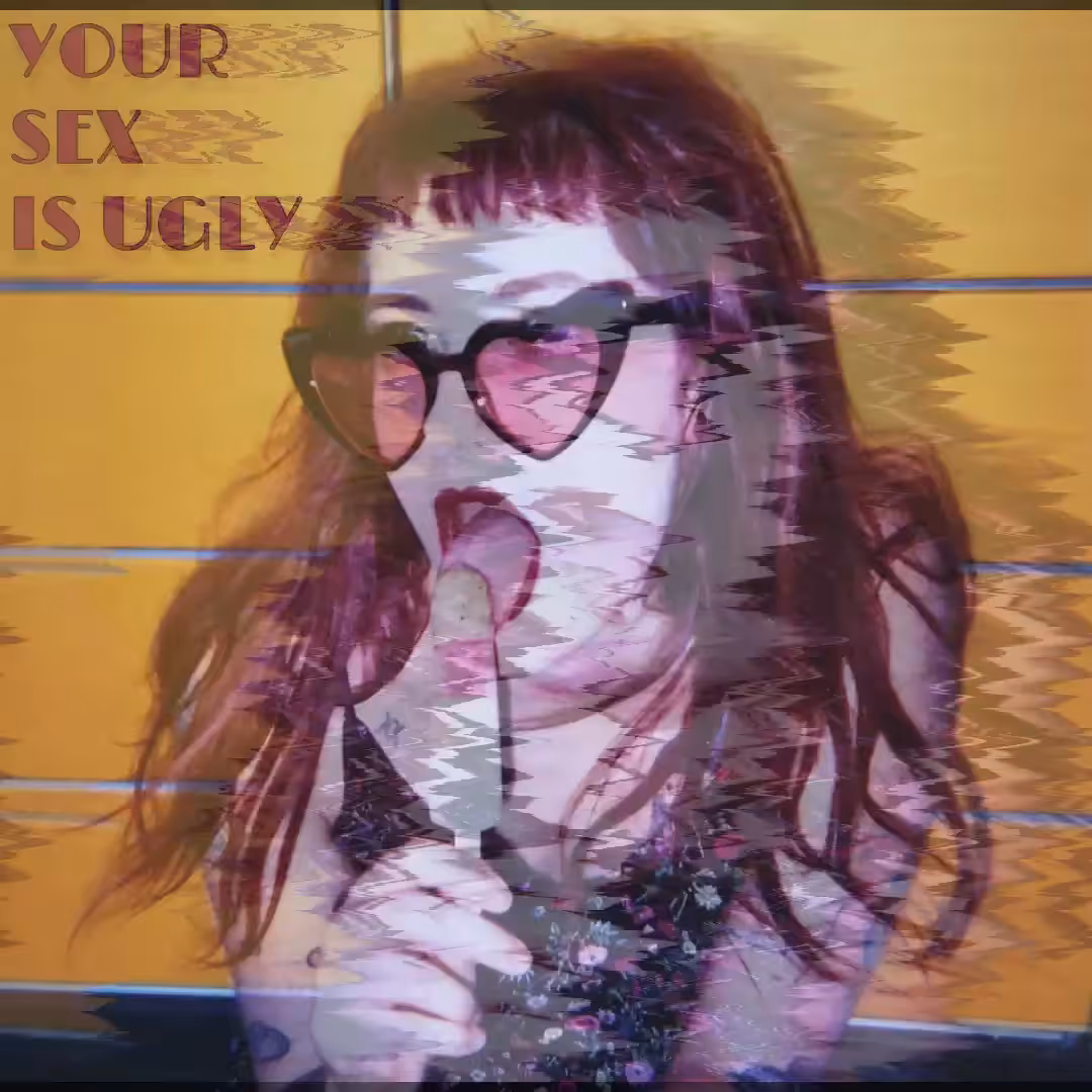 YOUR SEX IS UGLY