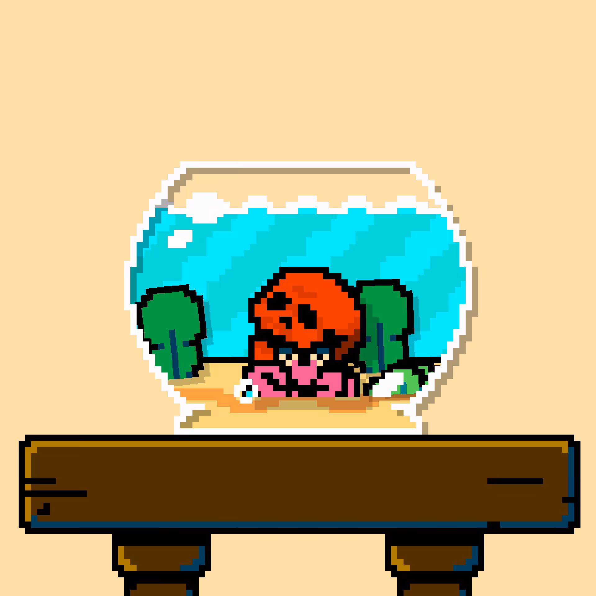 hermit crab #76