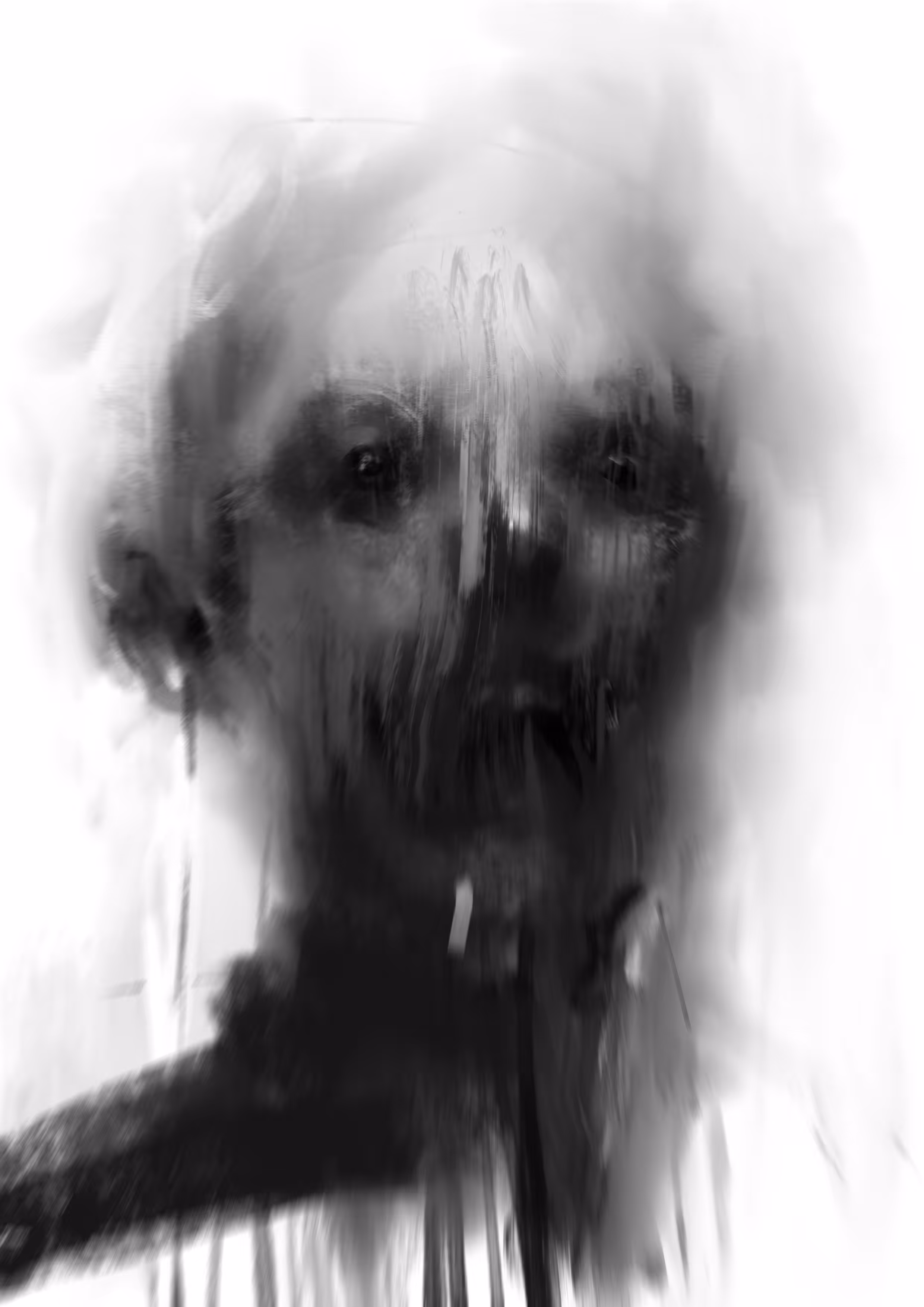 Grey dog