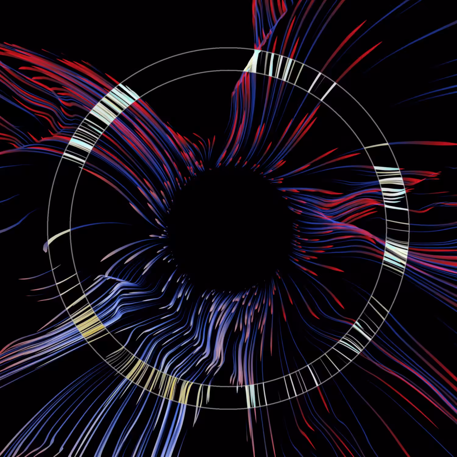 Vortex #355
