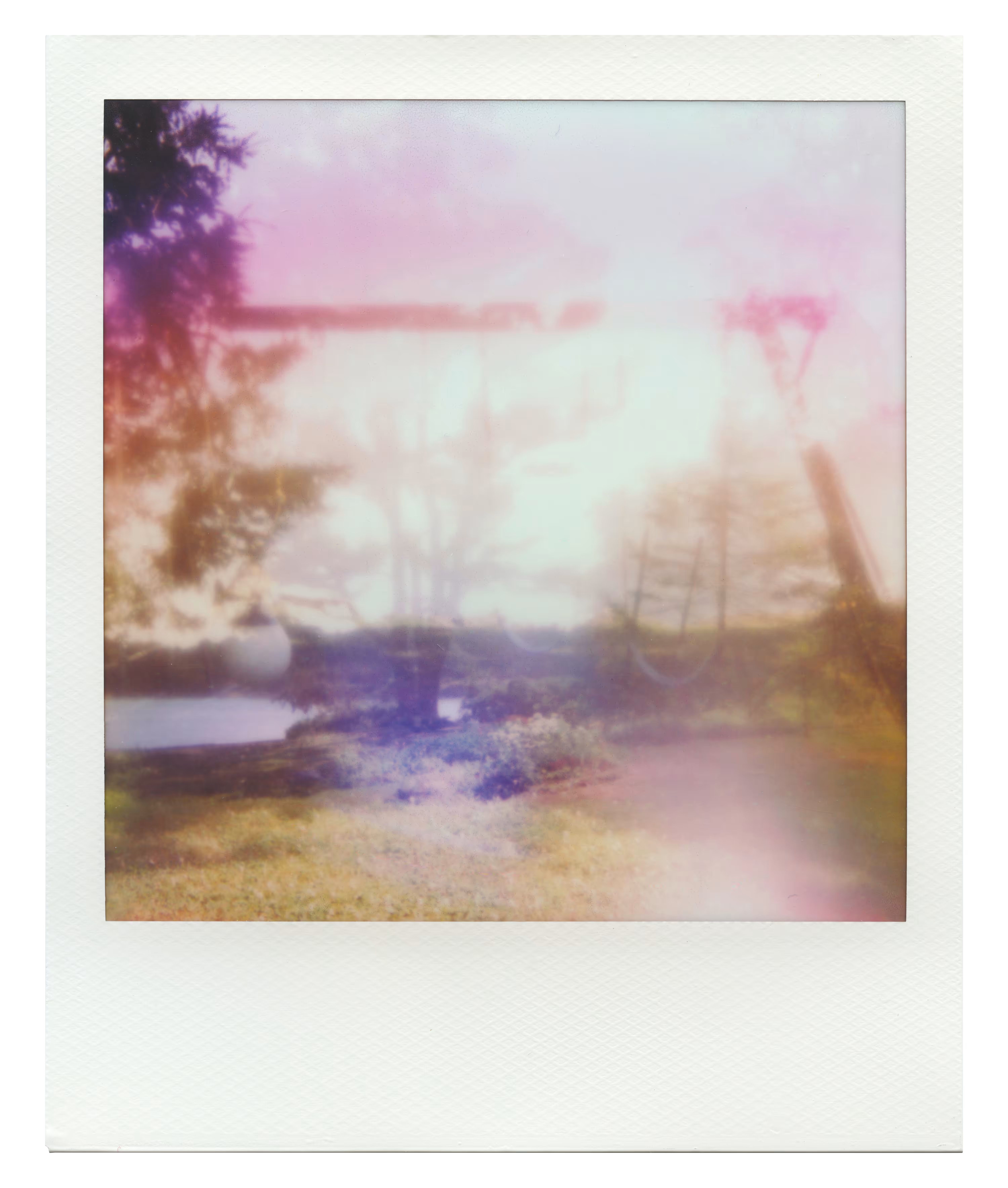 Endless Summer  |  5  | Manifestation