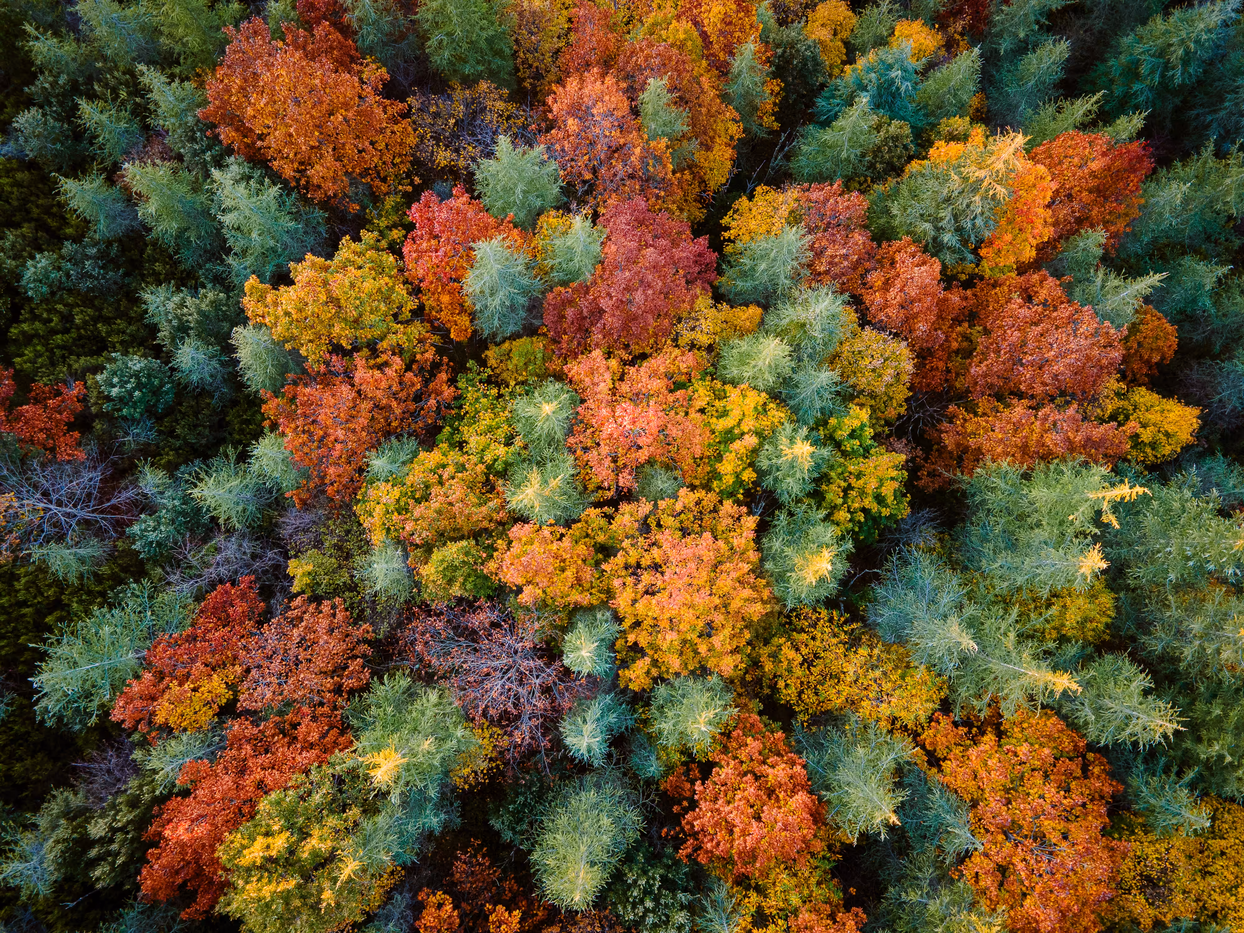 Colors of Sardinia #3