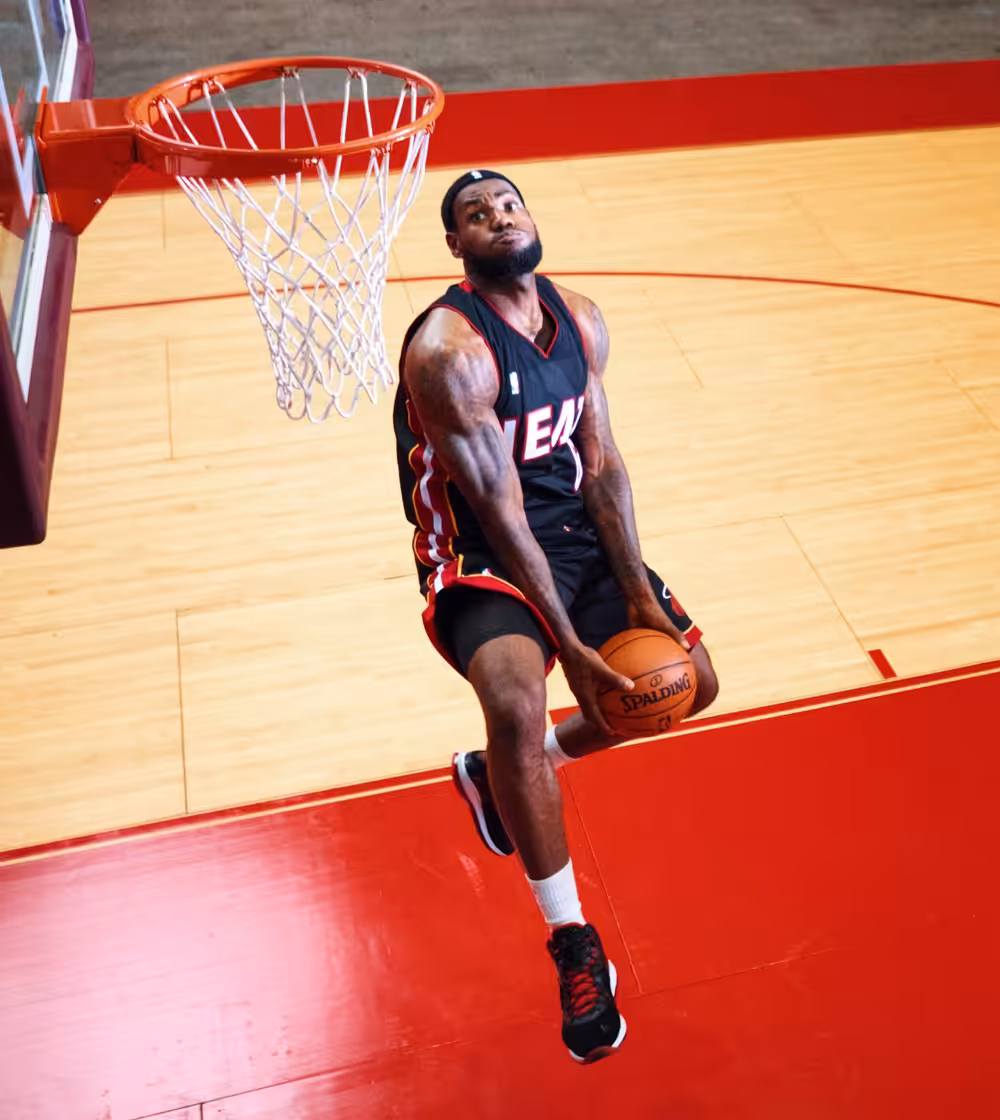 LeBron James, Los Angeles, CA 2010 #7