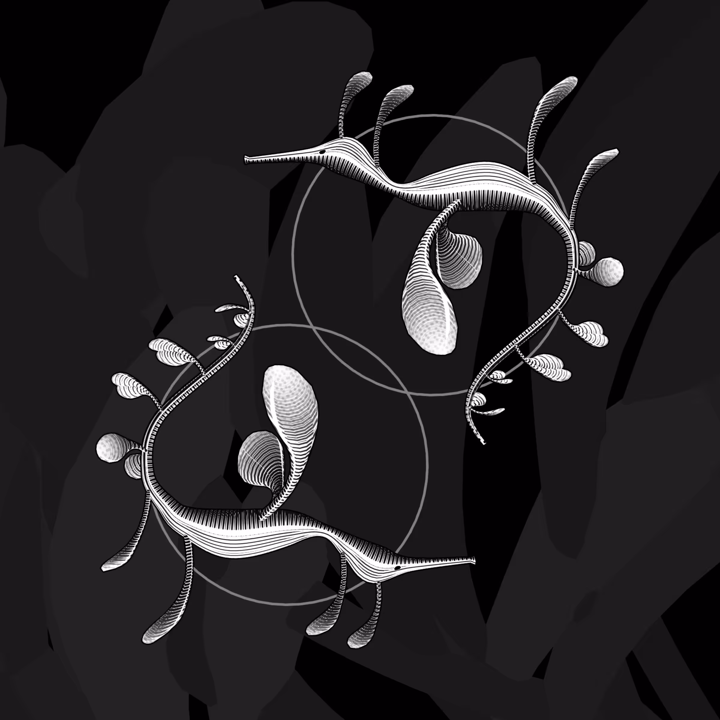 Seadragons #552