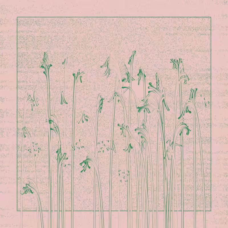 string_pllu #15