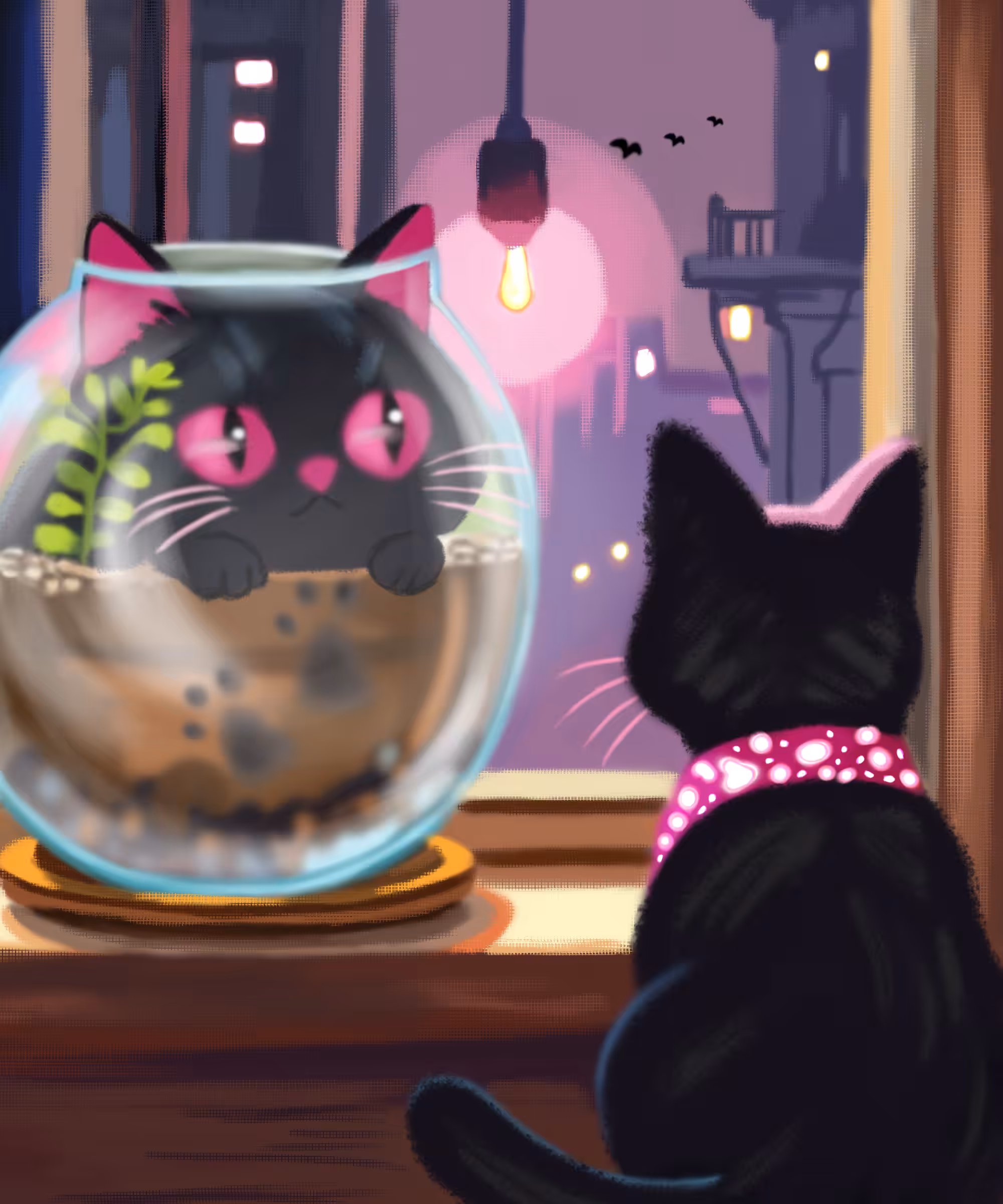 Cute cats 😻