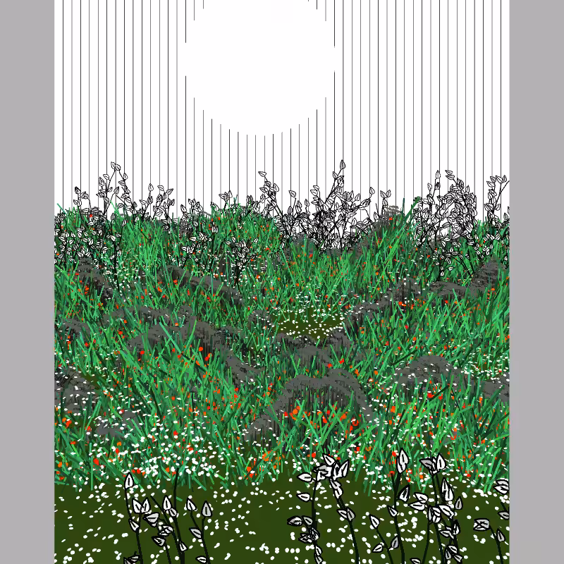 Contours #15