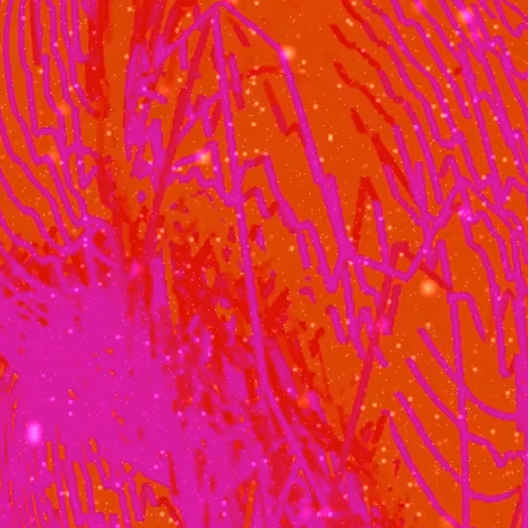 tiny space 