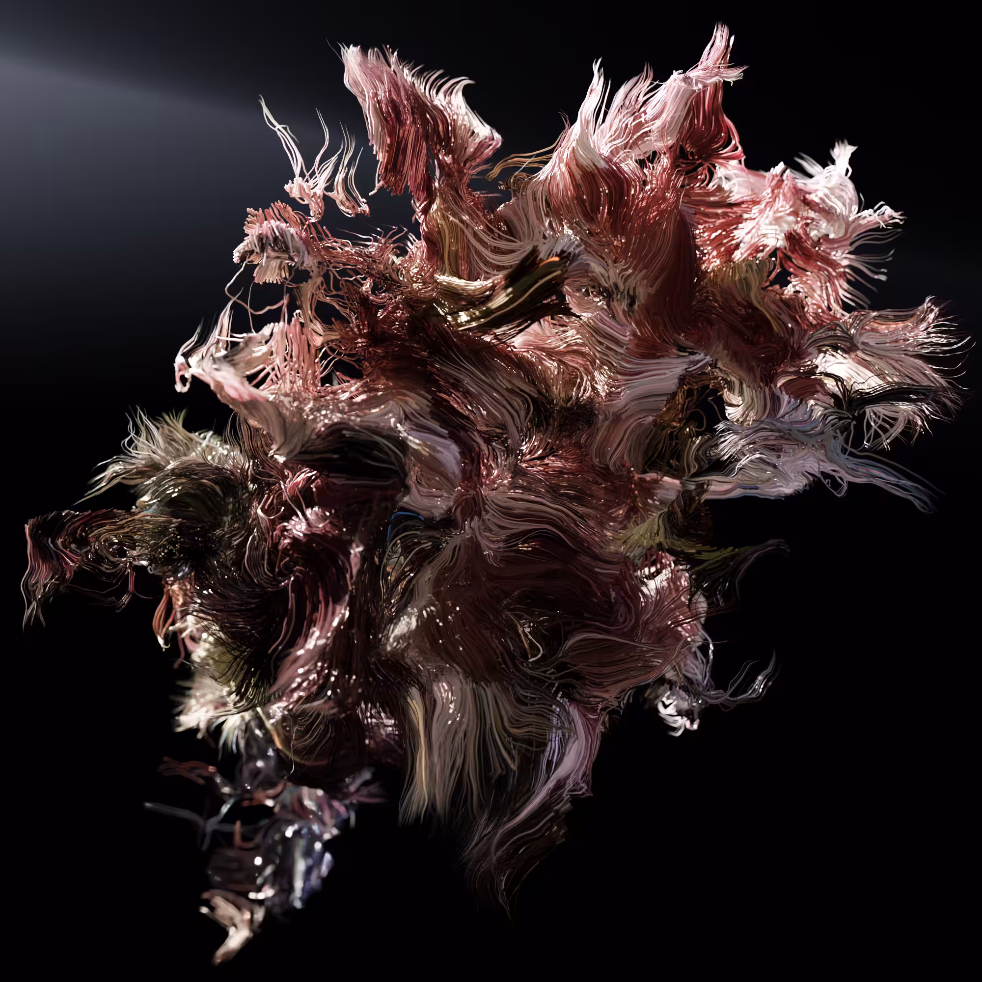 Viscera