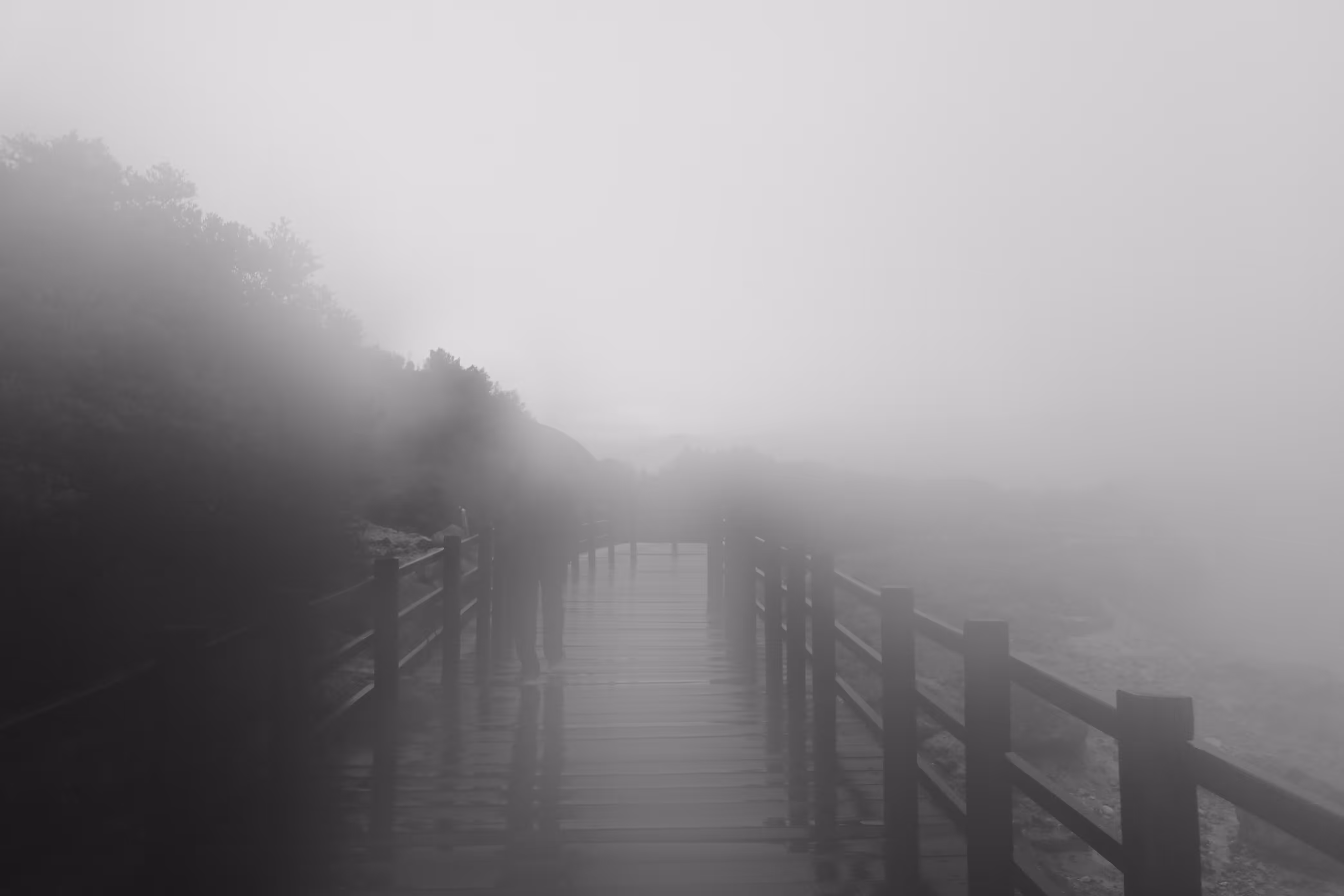 For the beauty of Fog: Path