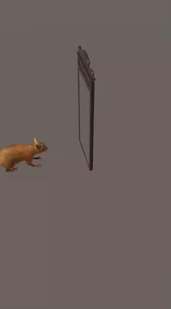 N00RTulaPin