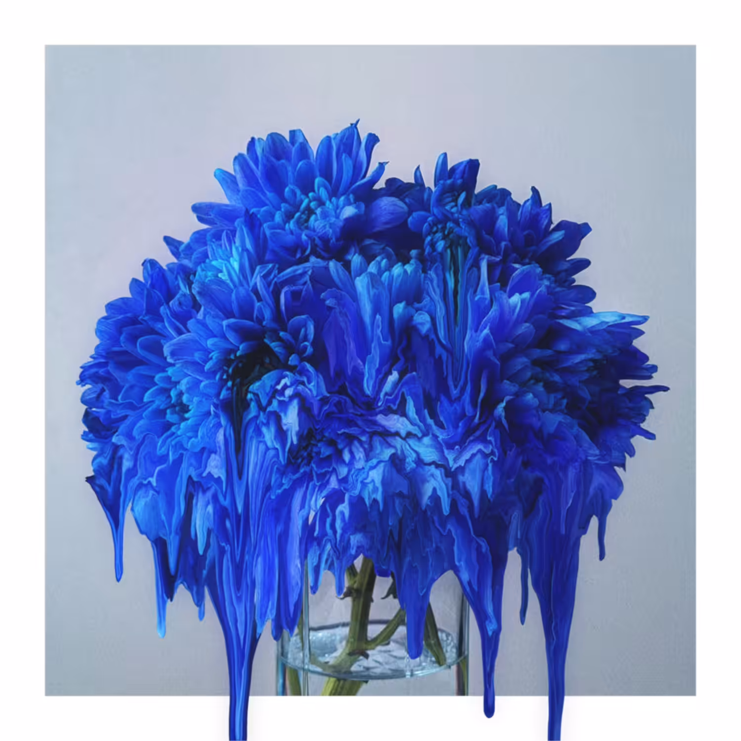 Melting Flora #2