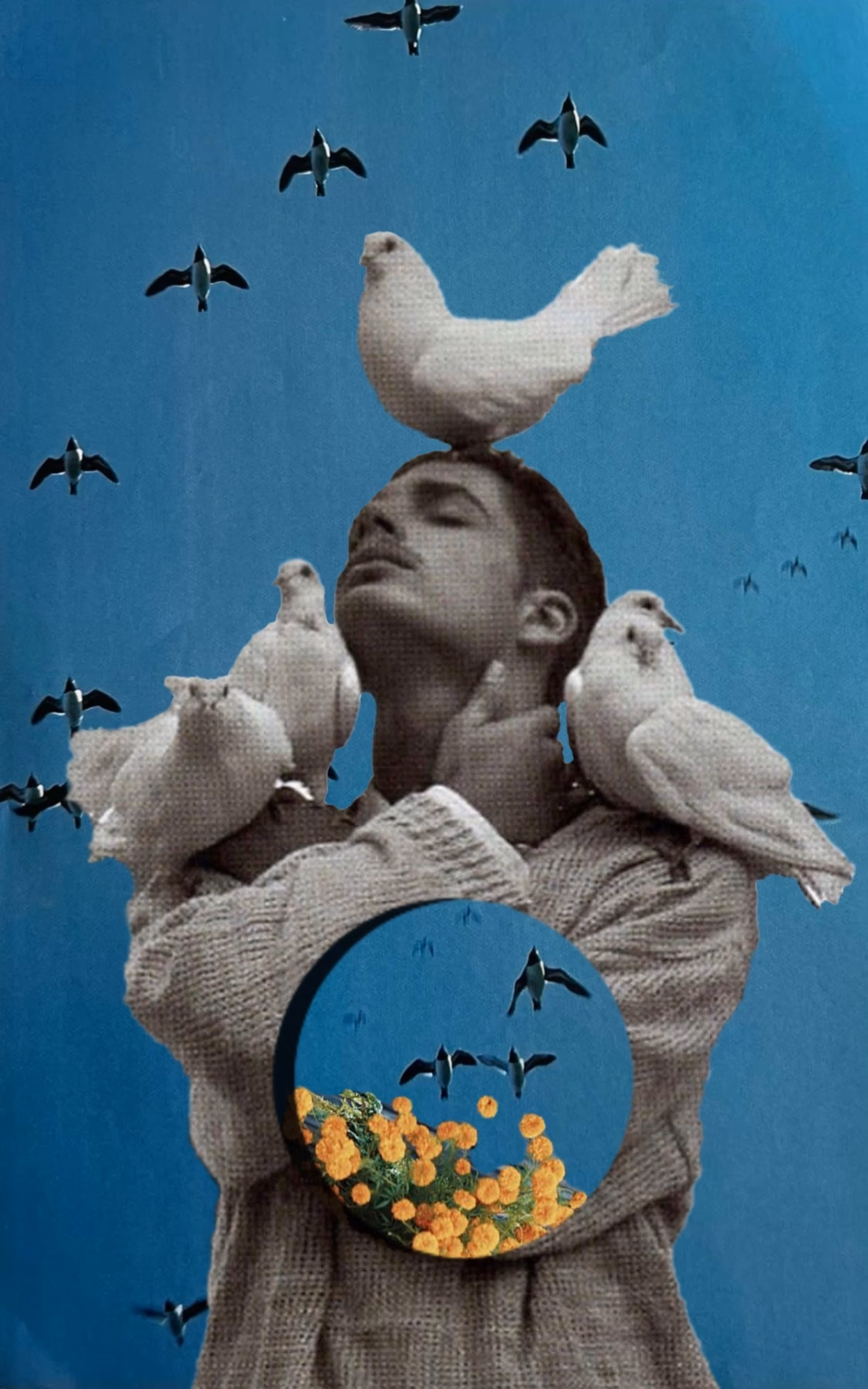 the boy who brought birds to the garden