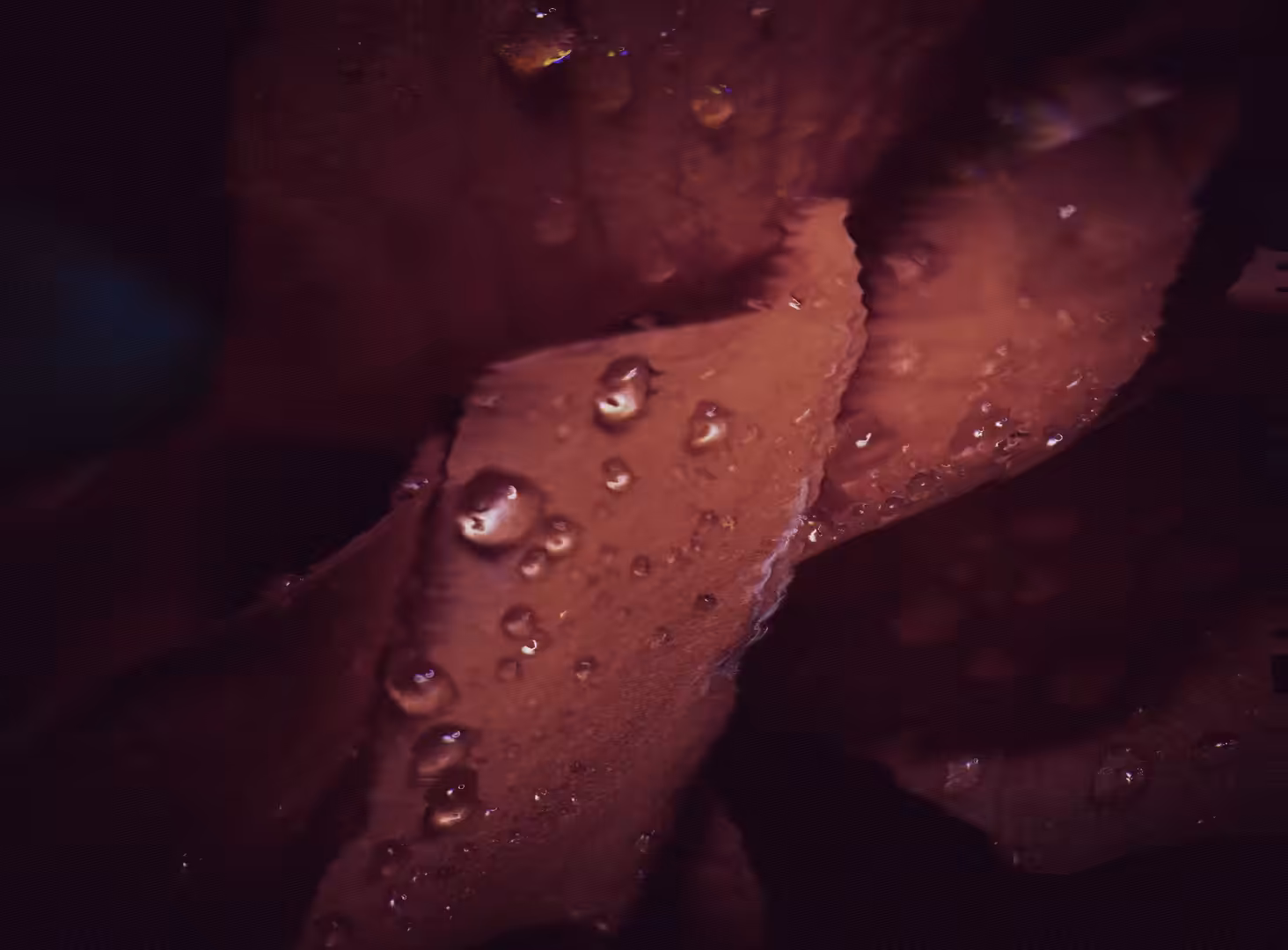On a rainy day