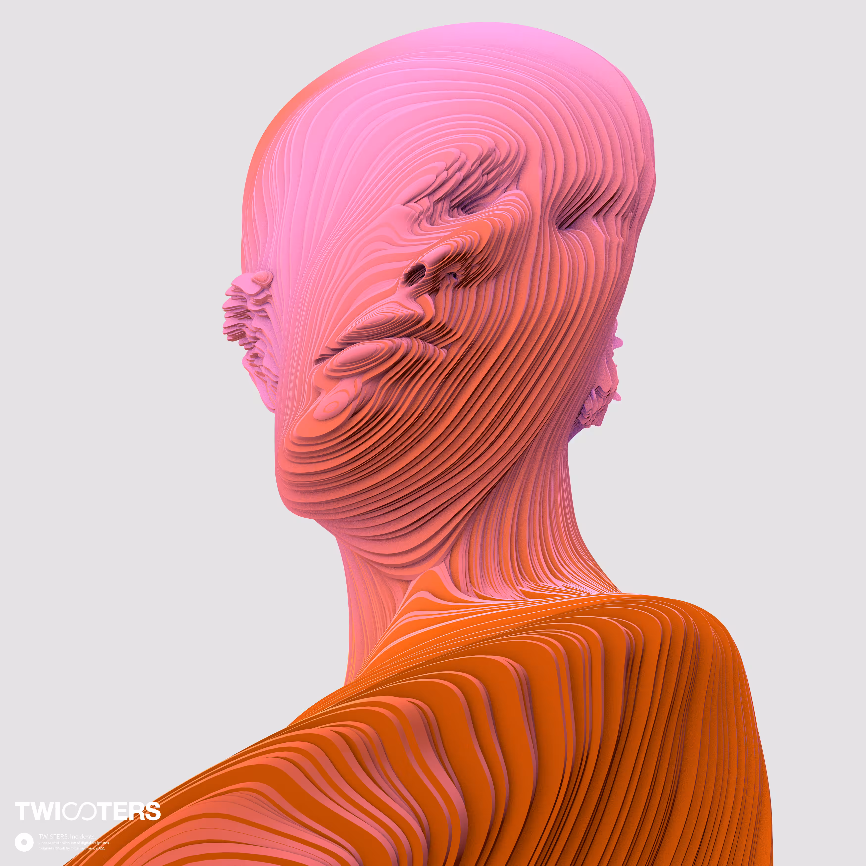 INCIDENT 009